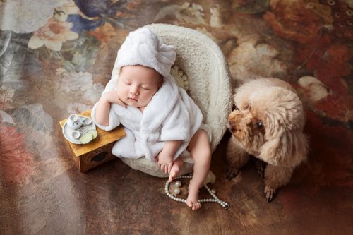 Free Sweet baby in white robe with toy poodle on a floral background in Ho Chi Minh City. Stock Photo