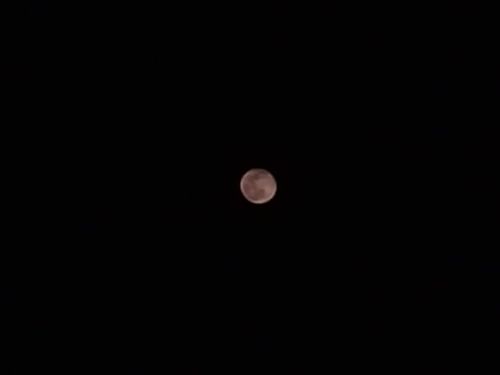 Free stock photo of 4k nature, moon, nature beautiful Stock Photo