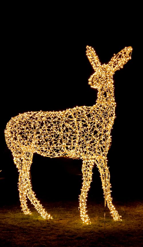 Free Artistic deer sculpture made of lights glowing in a dark park setting, perfect for themed displays. Stock Photo
