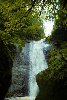 Tranquil waterfall cascading in a verdant forest setting, surrounded by lush greenery and moss-covered rocks.