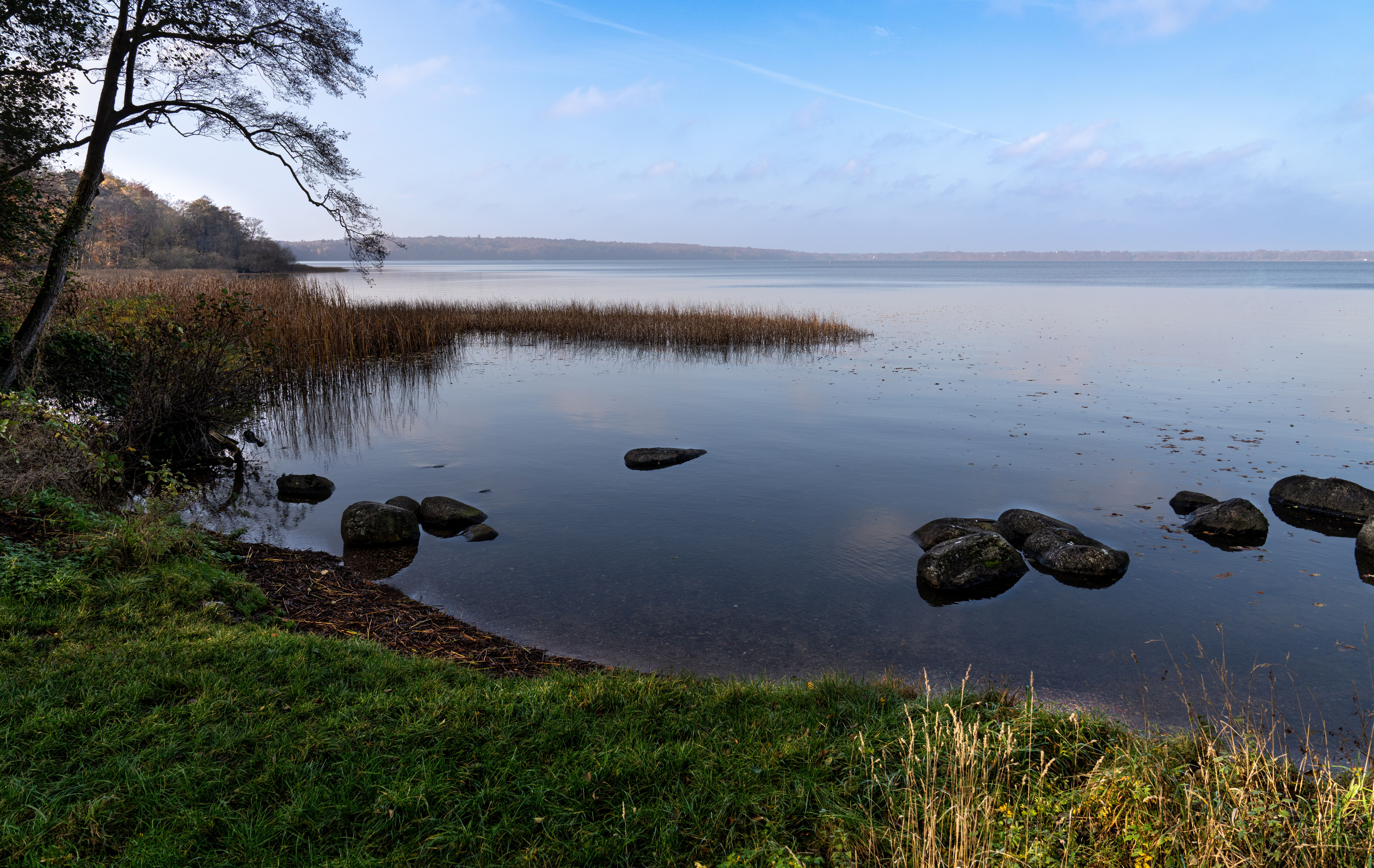 Tranquil autumn scene by a lake in Kongens Lyngby, Denmark, with fall colors.