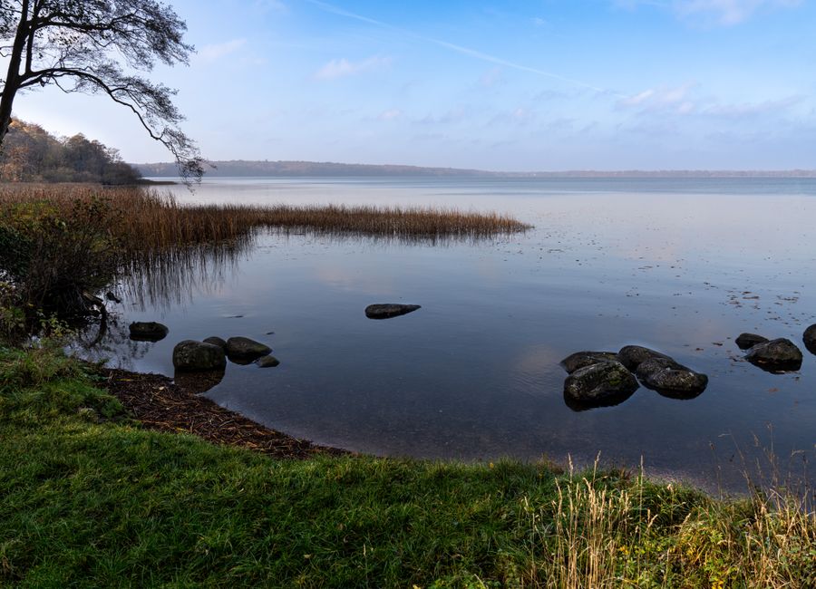 Tranquil autumn scene by a lake in Kongens Lyngby, Denmark, with fall colors.