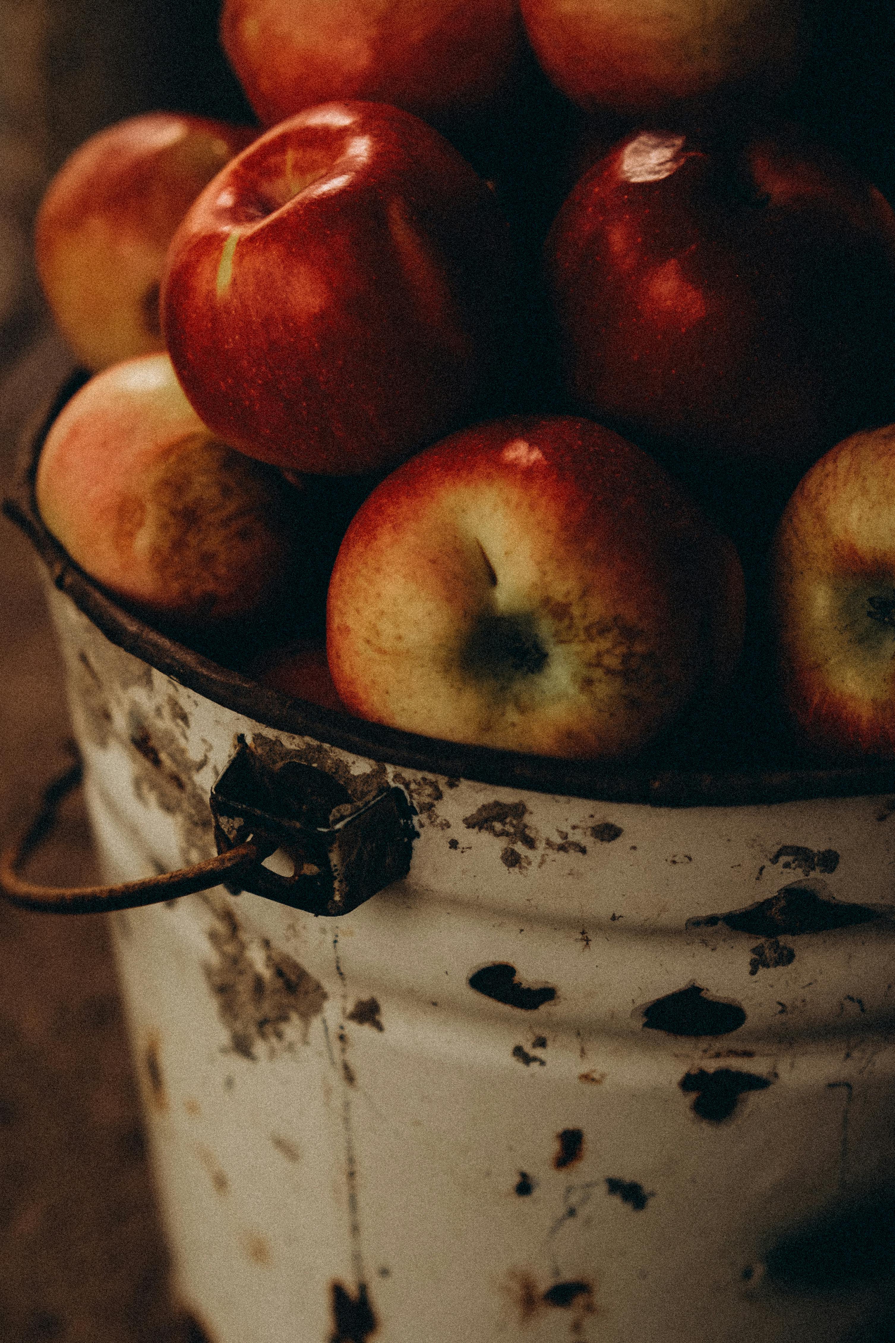 A rustic scene featuring red apples in a vintage metal bucket with a warm, earthy tone.