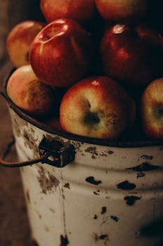A rustic scene featuring red apples in a vintage metal bucket with a warm, earthy tone.