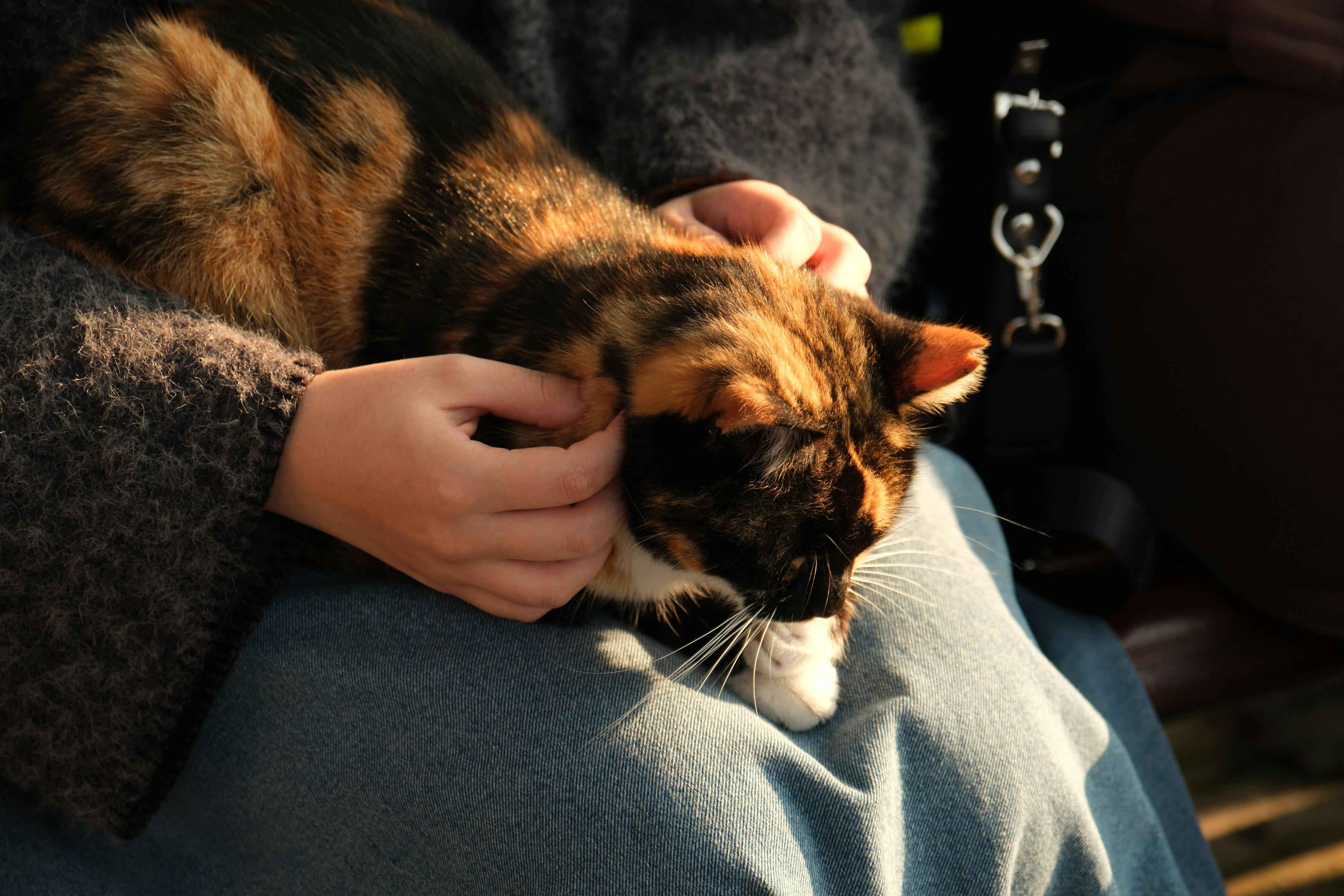 科技新創打造居家看護外送平台，實踐現代新孝道