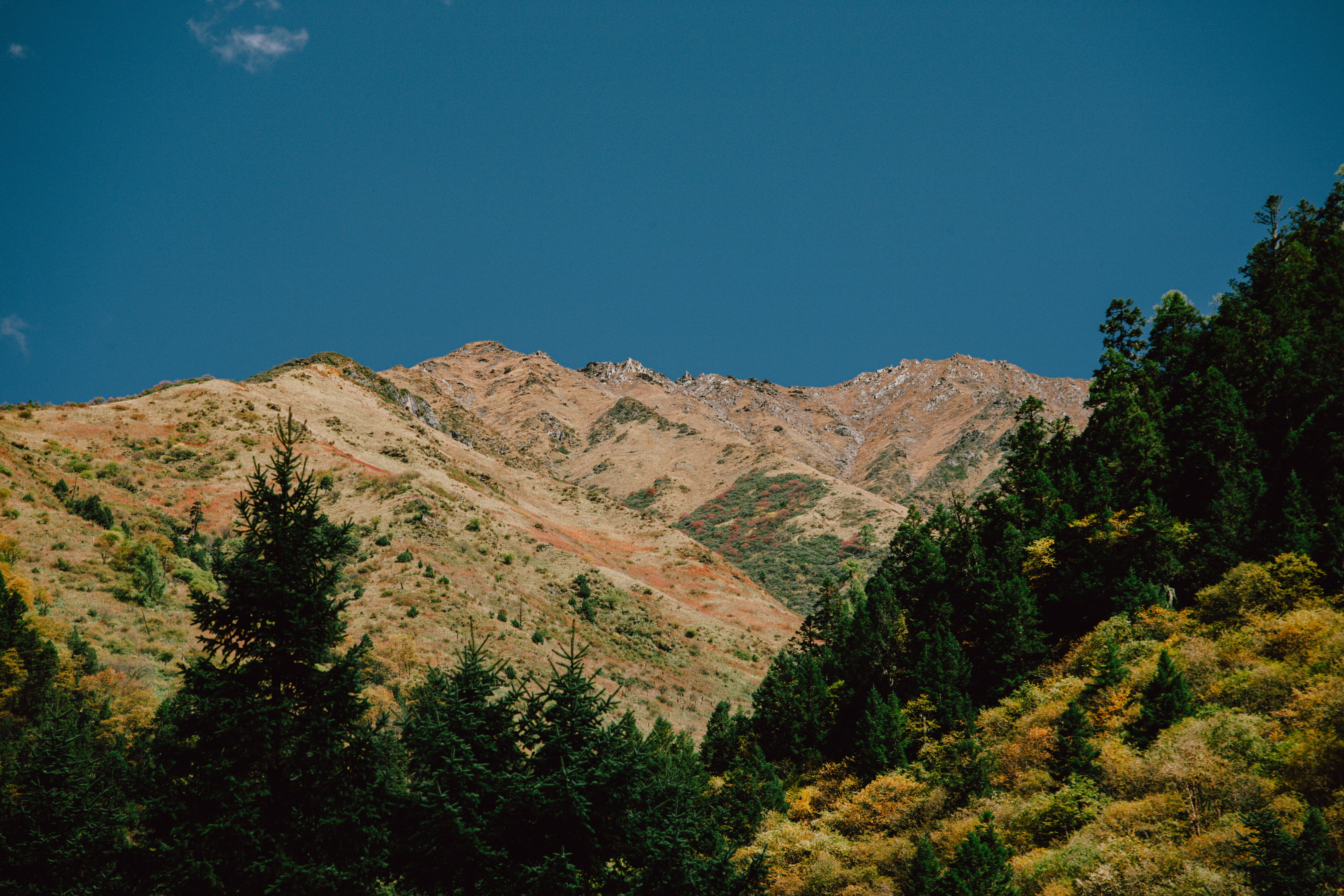 Scenic view of rugged mountain peaks and forest in fall, under a clear blue sky.