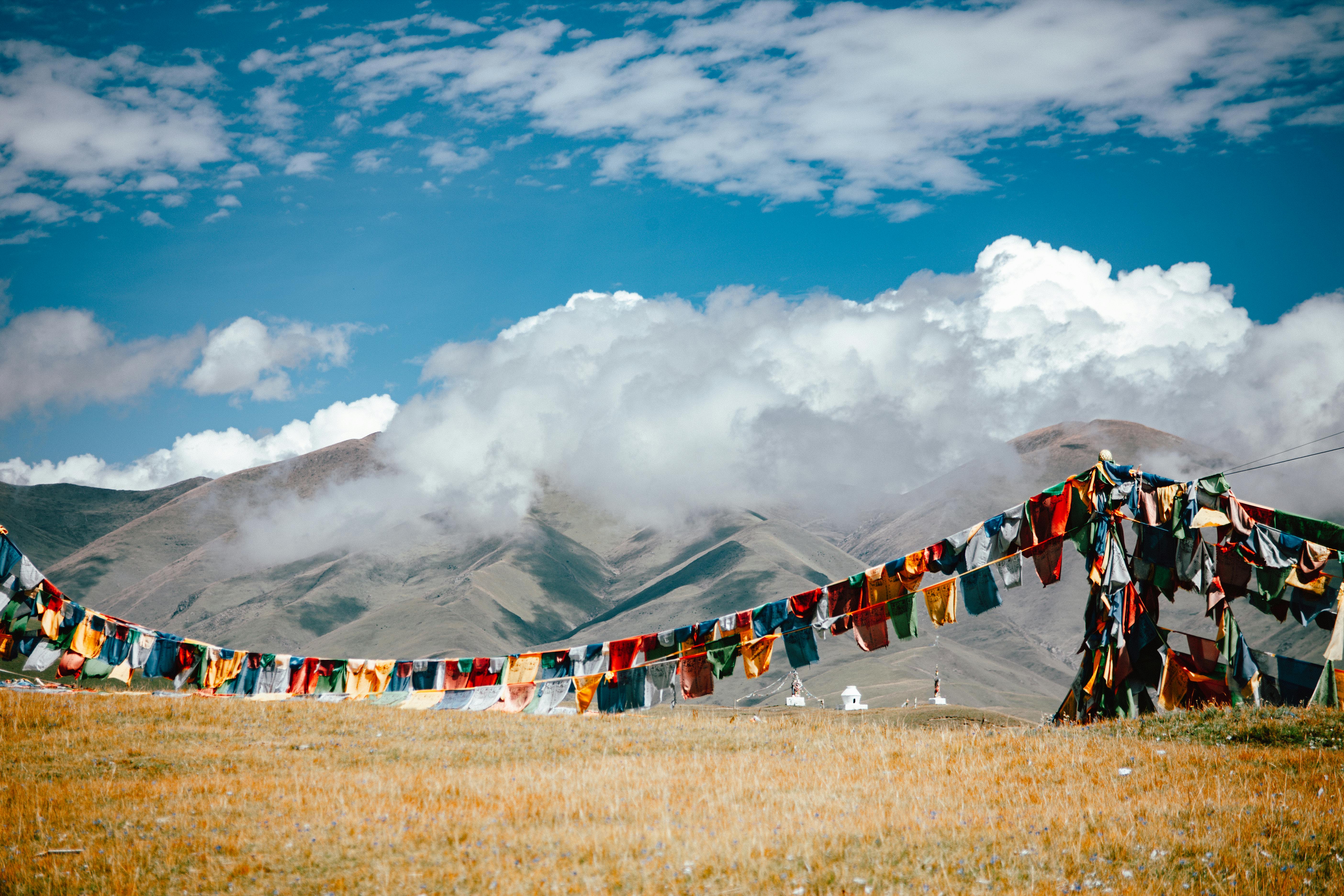 中共立案逮捕沈伯洋並通報國際刑警，警政署強調保障言論自由