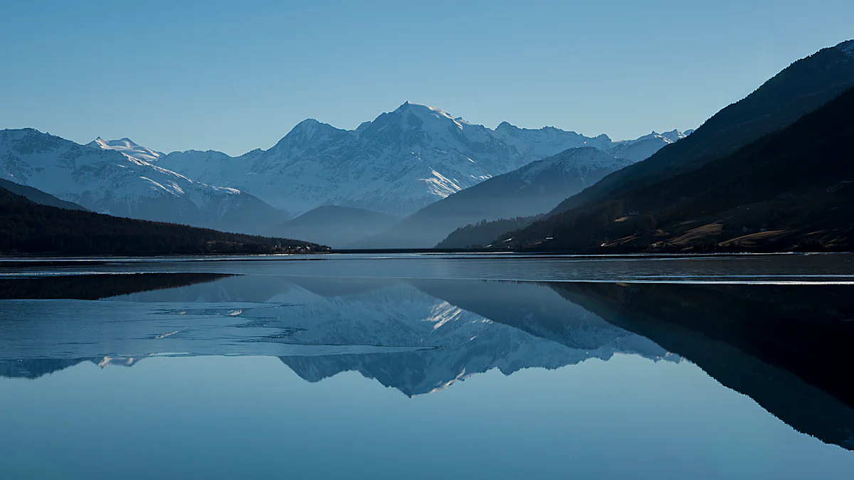 Découvrez Unsplash : La Banque d'Images Libres de Droits pour les Créateurs