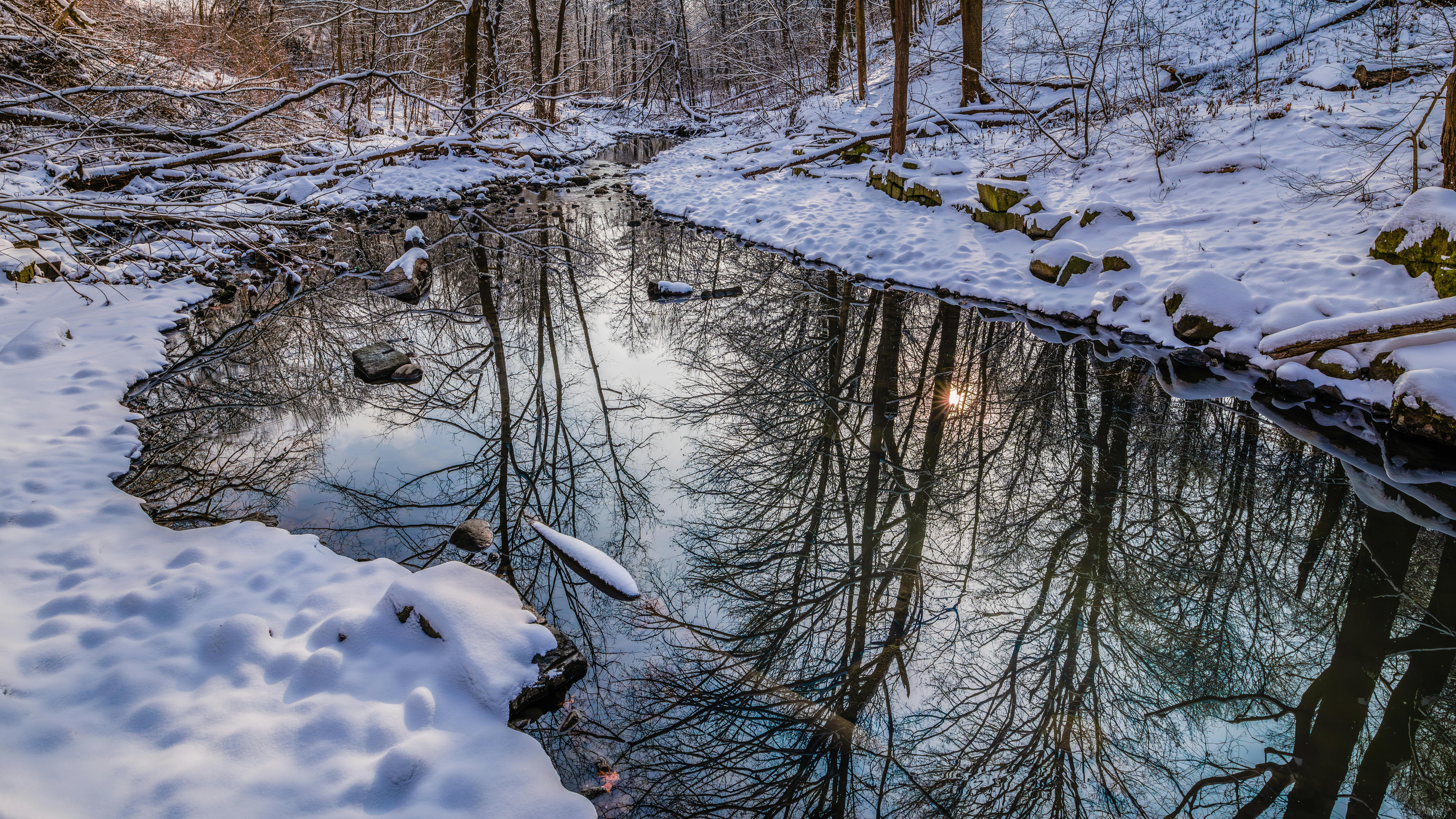 Serene winter landscape featuring a snow-covered forest with a reflective creek.