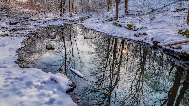 Serene winter landscape featuring a snow-covered forest with a reflective creek.