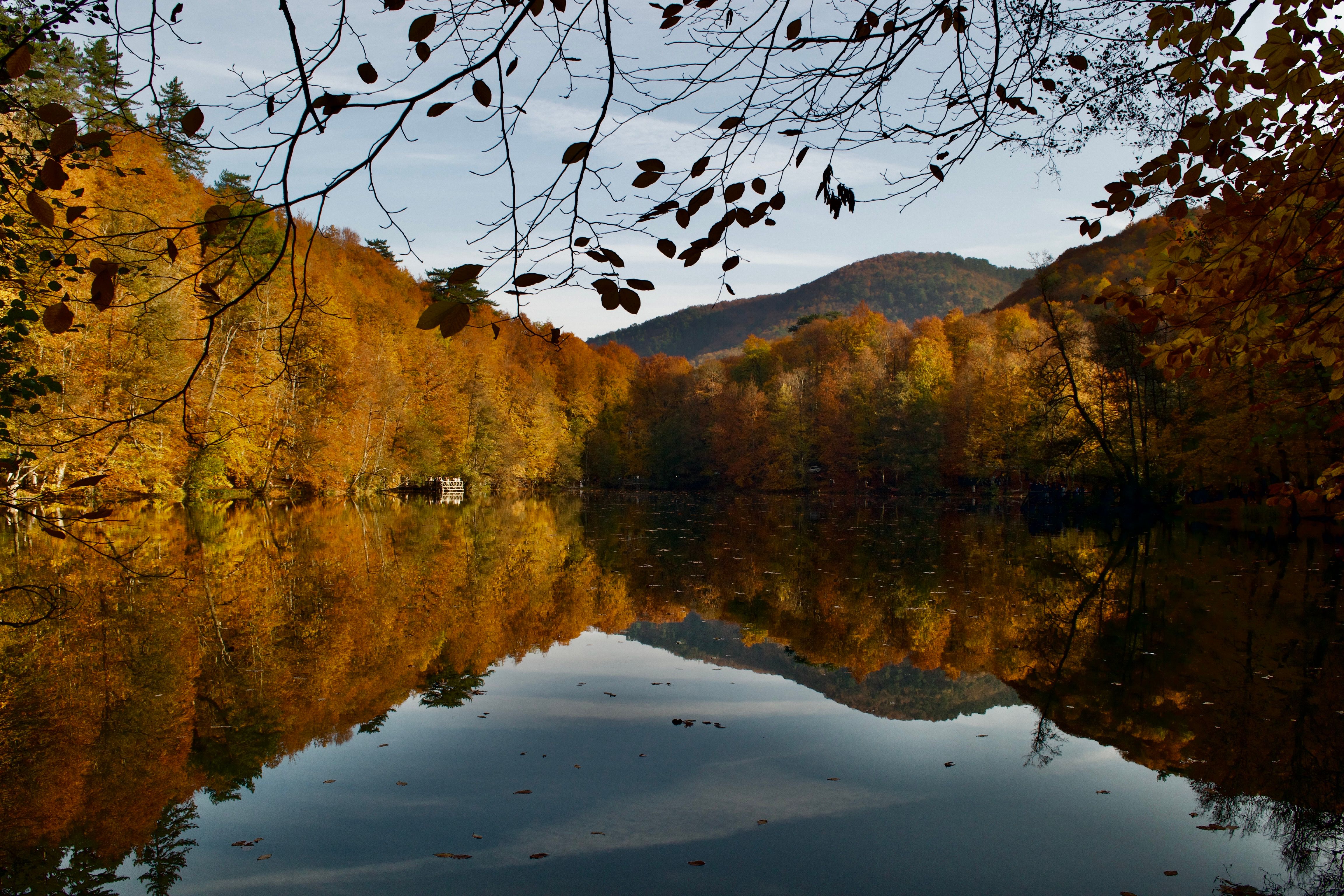 Serene autumn landscape with vibrant forest reflections on calm lake waters.