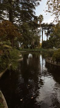 Discover serenity in this lush botanical garden featuring a peaceful waterway and diverse greenery.