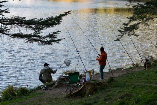 Two people fishing by a tranquil lakeside surrounded by nature.