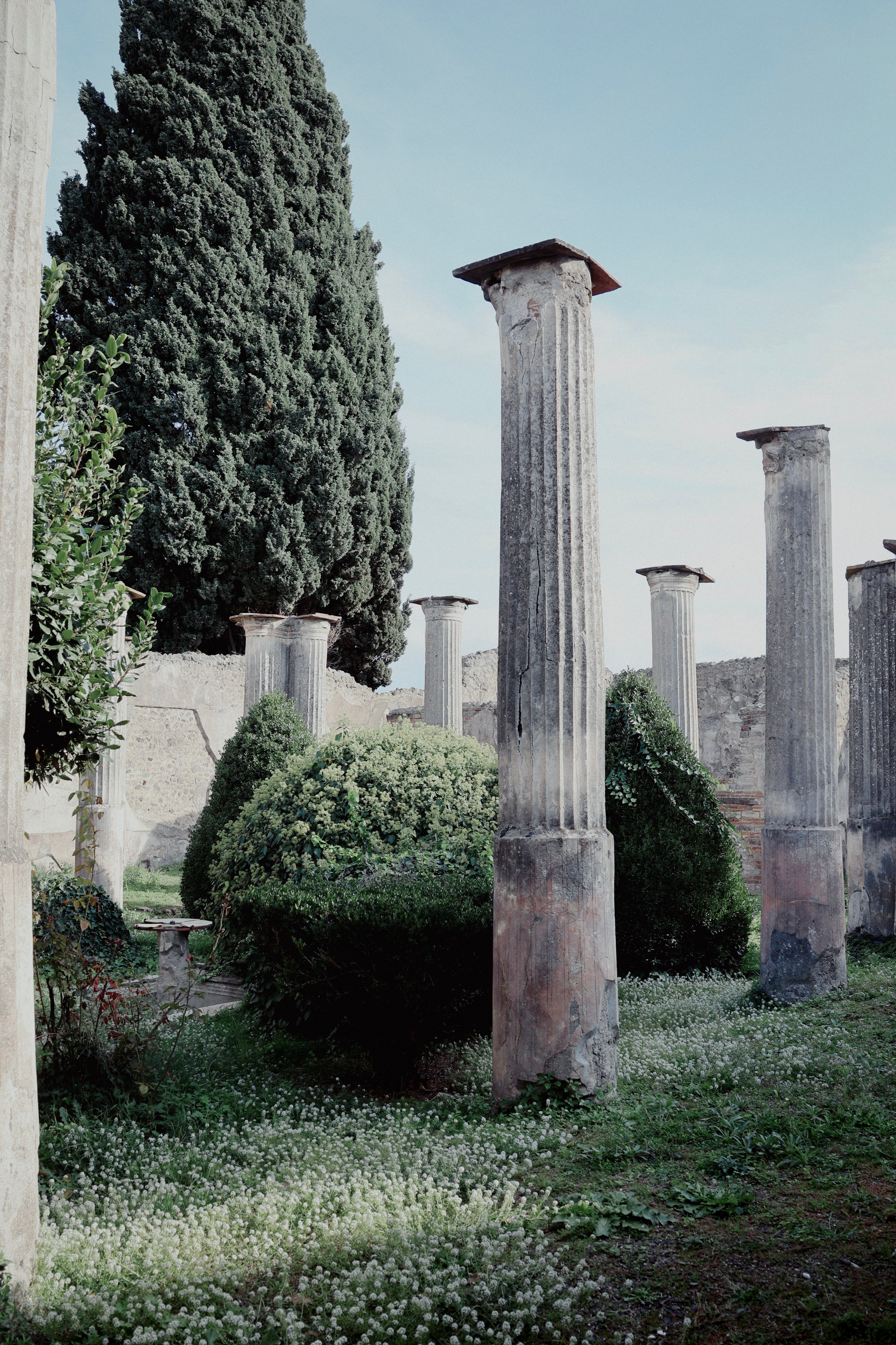 Serene view of ancient Roman pillars in Pompei, surrounded by lush greenery and blue sky.