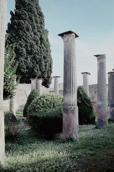 Serene view of ancient Roman pillars in Pompei, surrounded by lush greenery and blue sky.