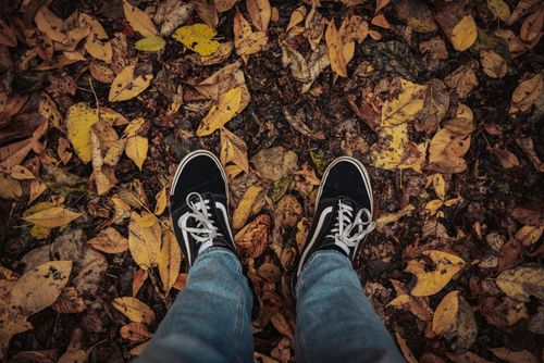 Free A person in sneakers standing on a path covered with colorful autumn leaves. Stock Photo
