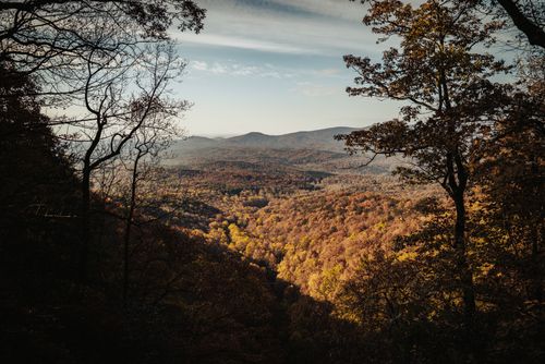 Free A stunning view of a mountain valley covered in vibrant fall foliage under a bright sky. Stock Photo