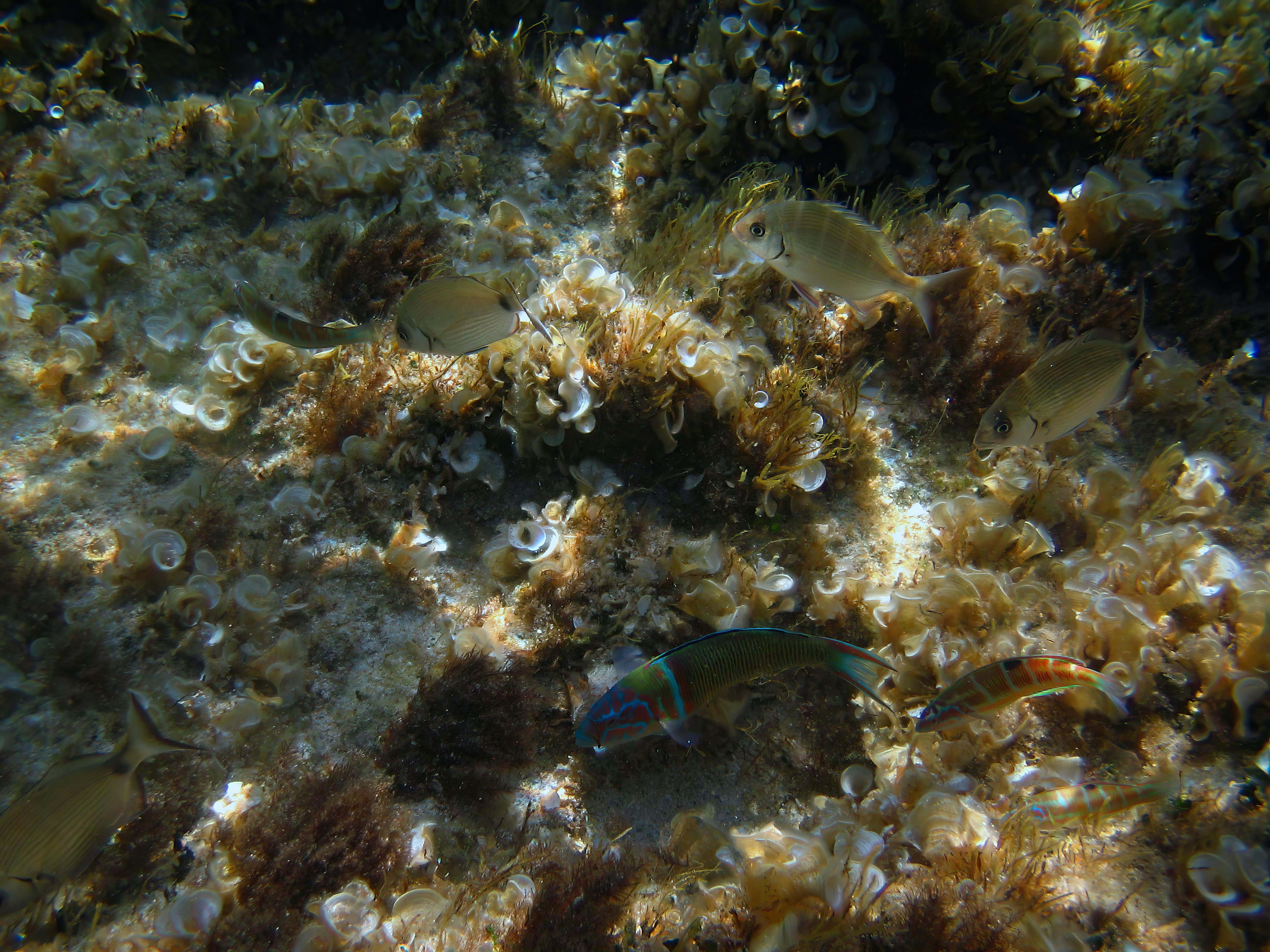 生活：快訊》11/12全台降雨特報，外出留意路面積水與安全