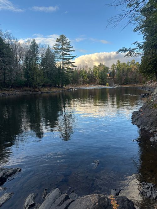 Free Serene river scene reflecting trees under a cloudy blue sky. Stock Photo