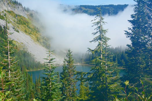 Explore a tranquil alpine lake surrounded by forest and mist in Washington, USA. Perfect for nature lovers.