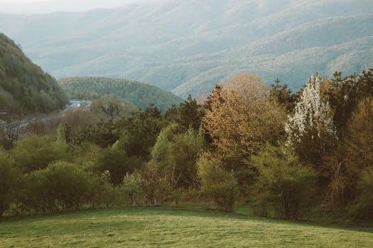 Breathtaking autumn view of lush green hills and colorful foliage in Istanbul.