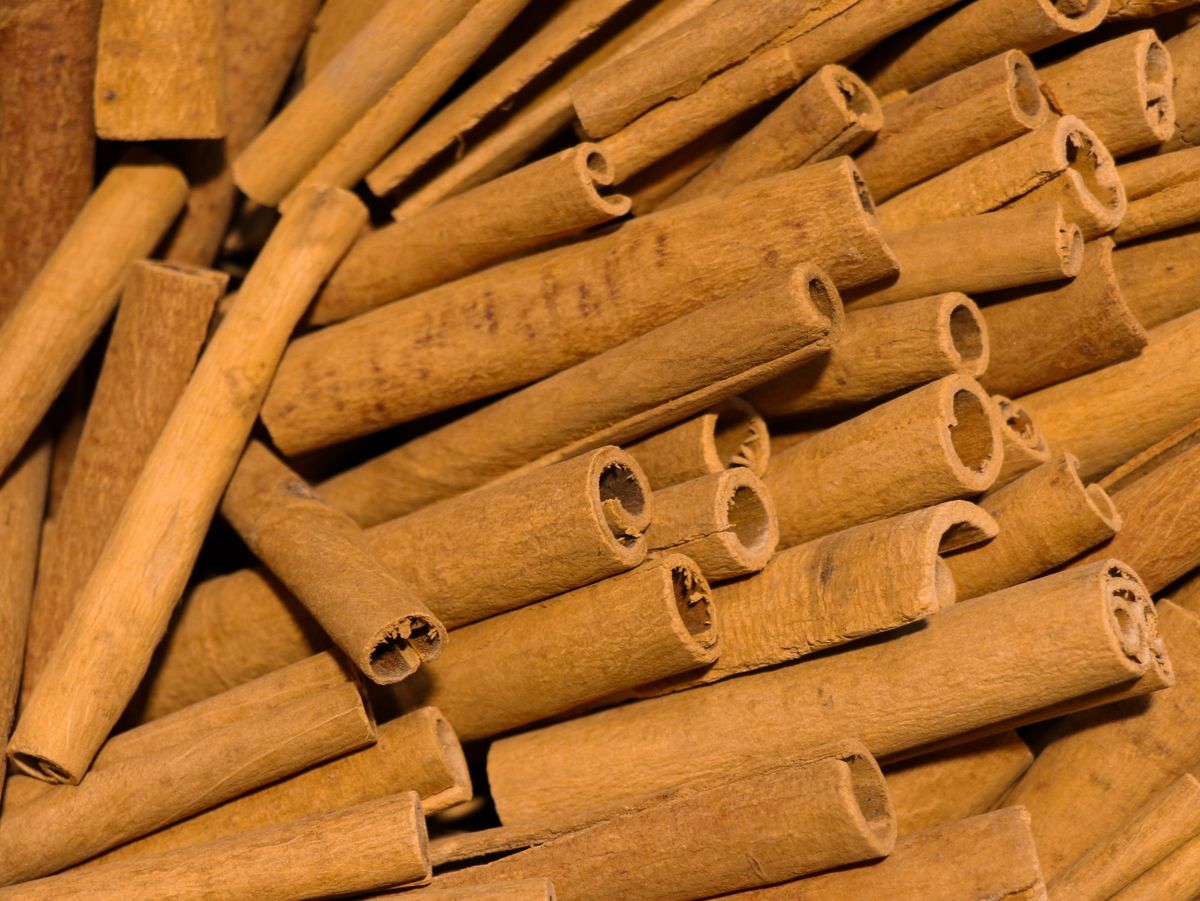 Discovering The Best Quality Cinnamon In Sri Lanka