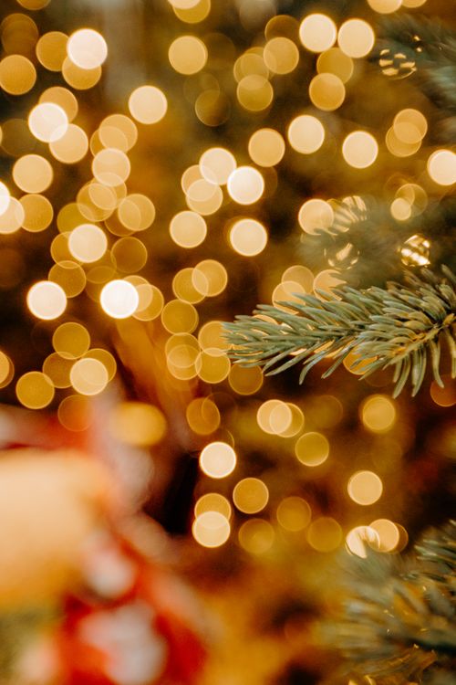 Free Warm holiday bokeh lights with evergreen branch in view, creating a festive ambiance. Stock Photo