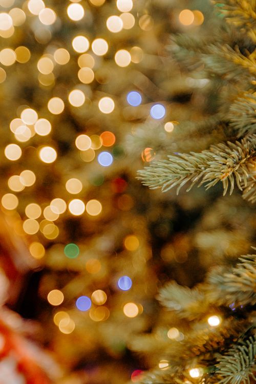 Free Blurred Christmas tree lights with bokeh effect, capturing festive atmosphere. Stock Photo