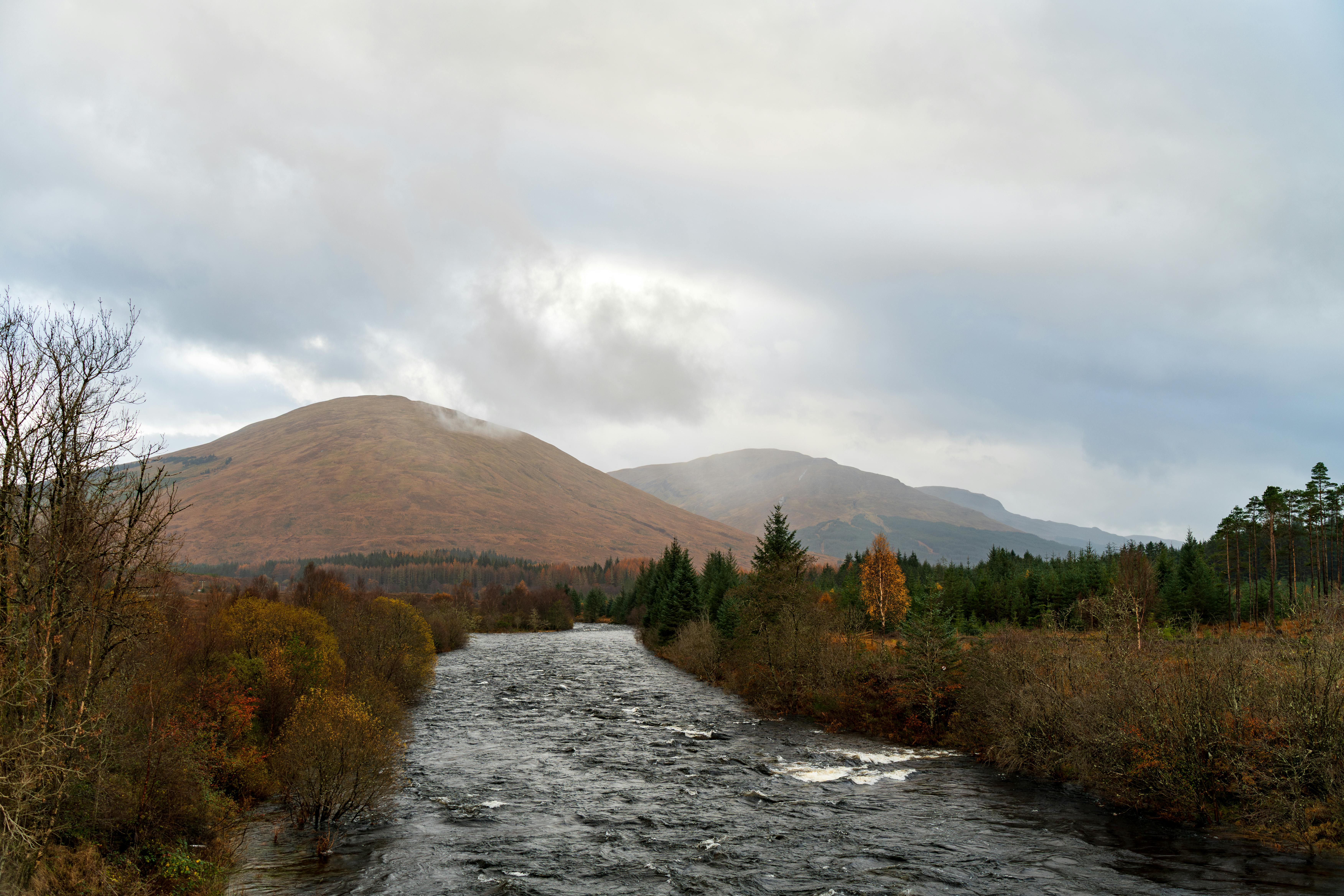 Glendronach Whisky Set to Command Hundreds of Thousands of Pounds