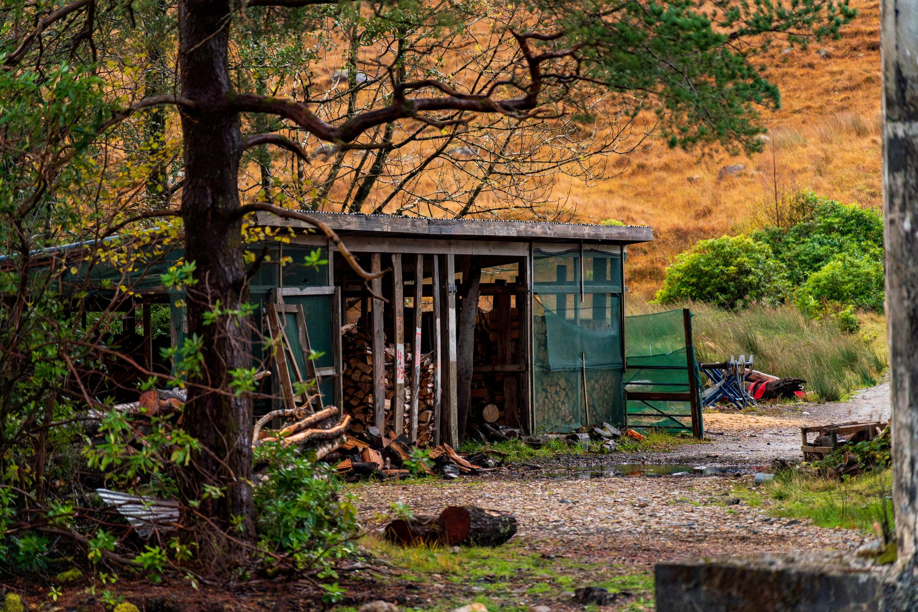 Outbuildings, Sheds and Gazebos contractors