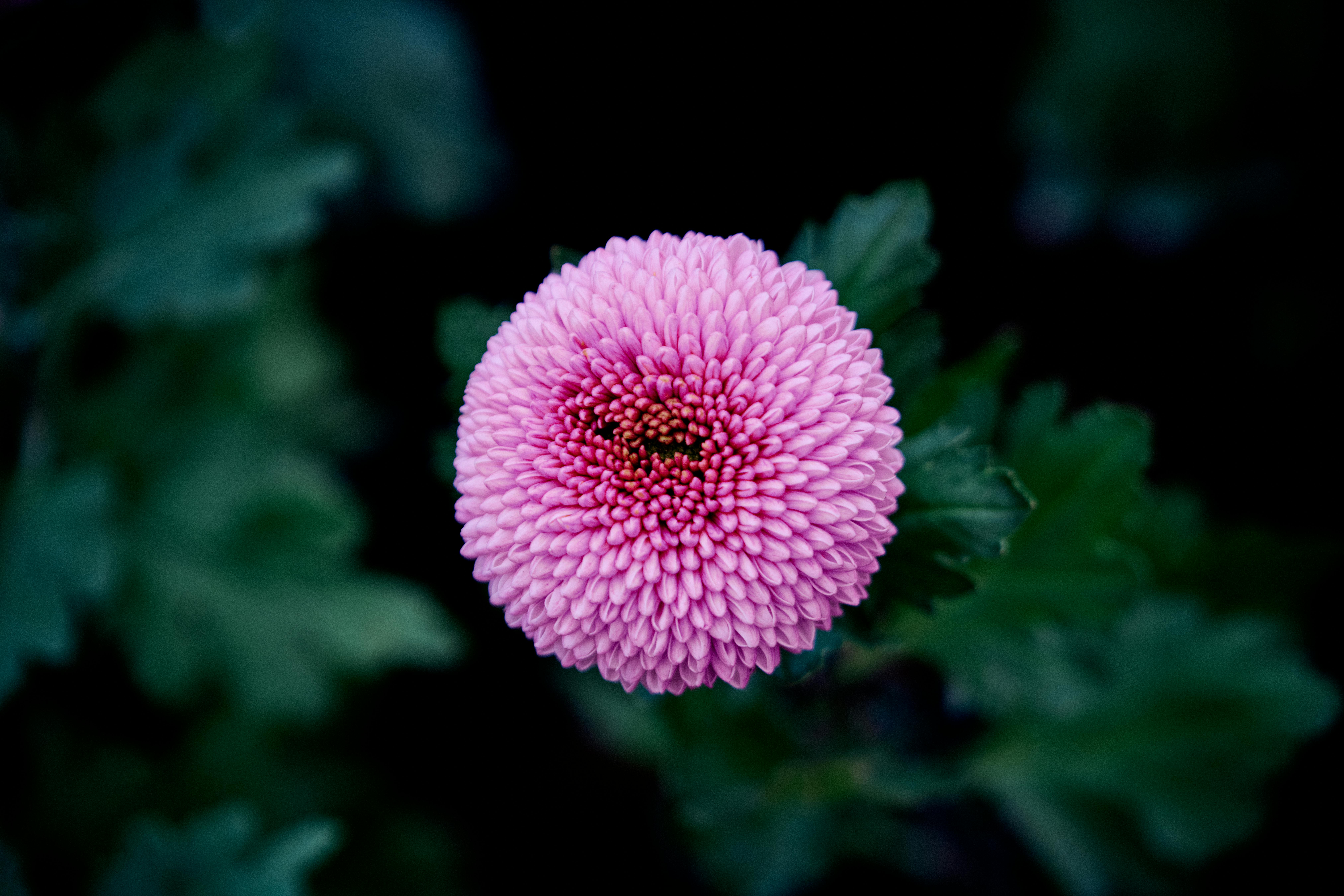 AI革命推動下 美科技巨頭面臨電力供應瓶頸挑戰