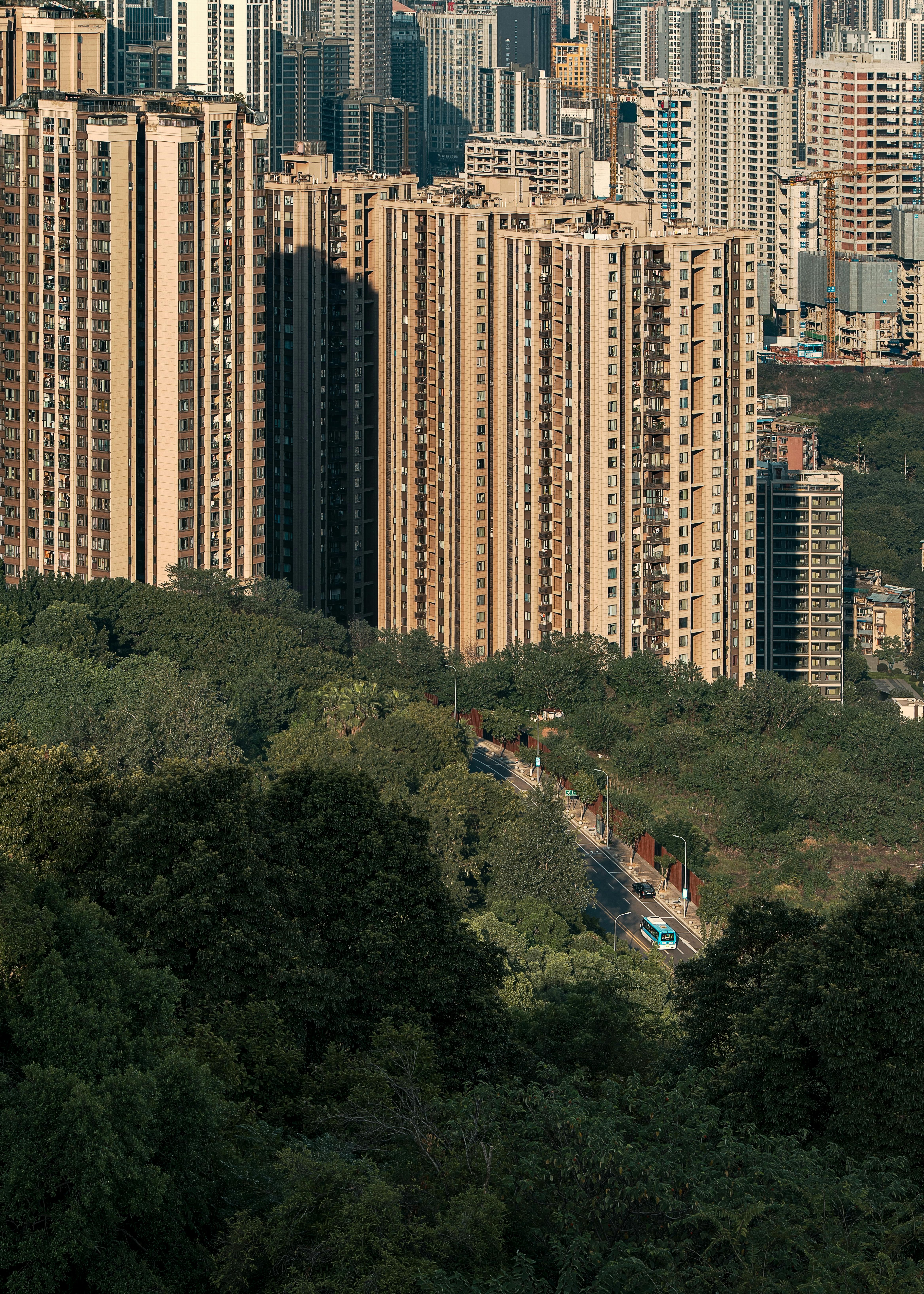 Tactical Insights: How Exeter City Can Outmaneuver Nottm Forest in This High-Stakes Match