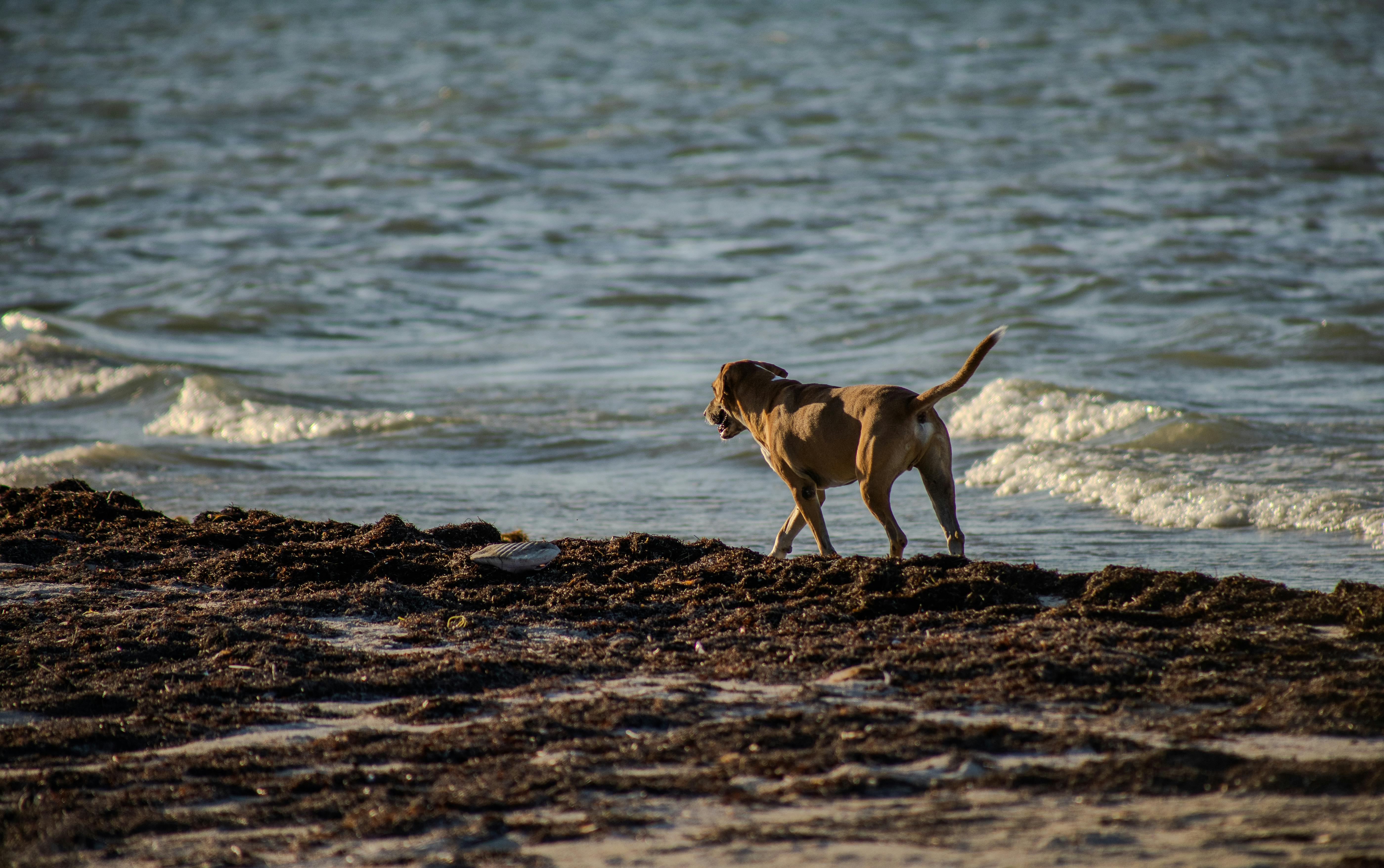 金樽臺灣國際衝浪公開賽圓滿落幕 展現極限衝浪魅力
