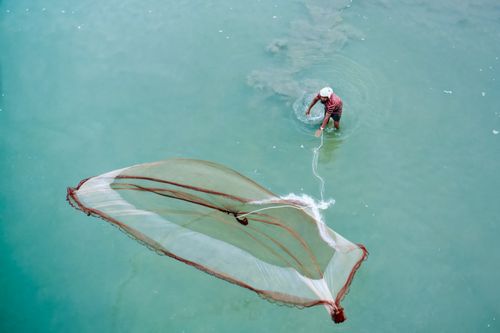Free An aerial shot of a fisherman skillfully casting a net in a river in Kurigram, Bangladesh. Stock Photo