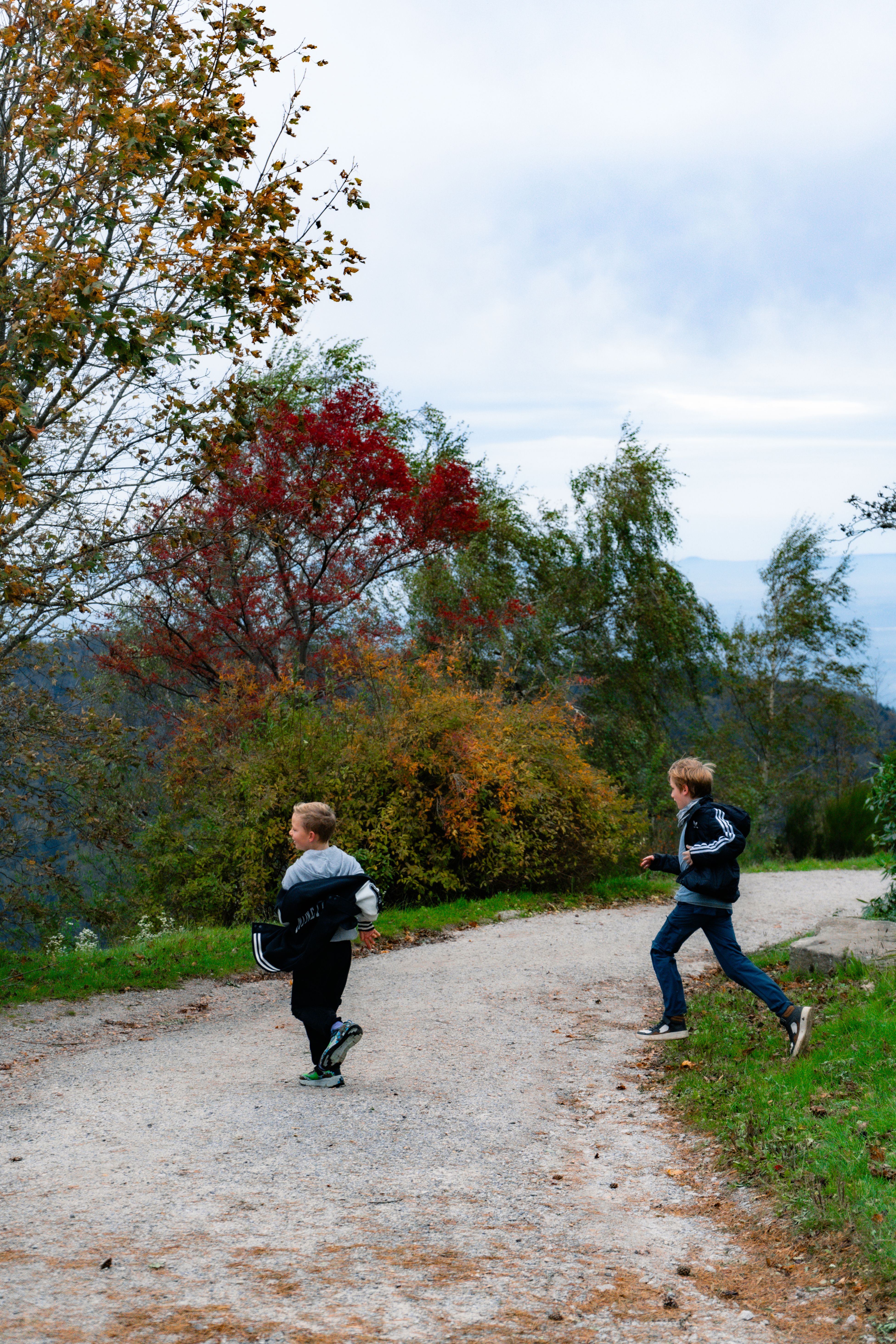 Children Running on Path in Autumnal Scenic Area · Free Stock Photo