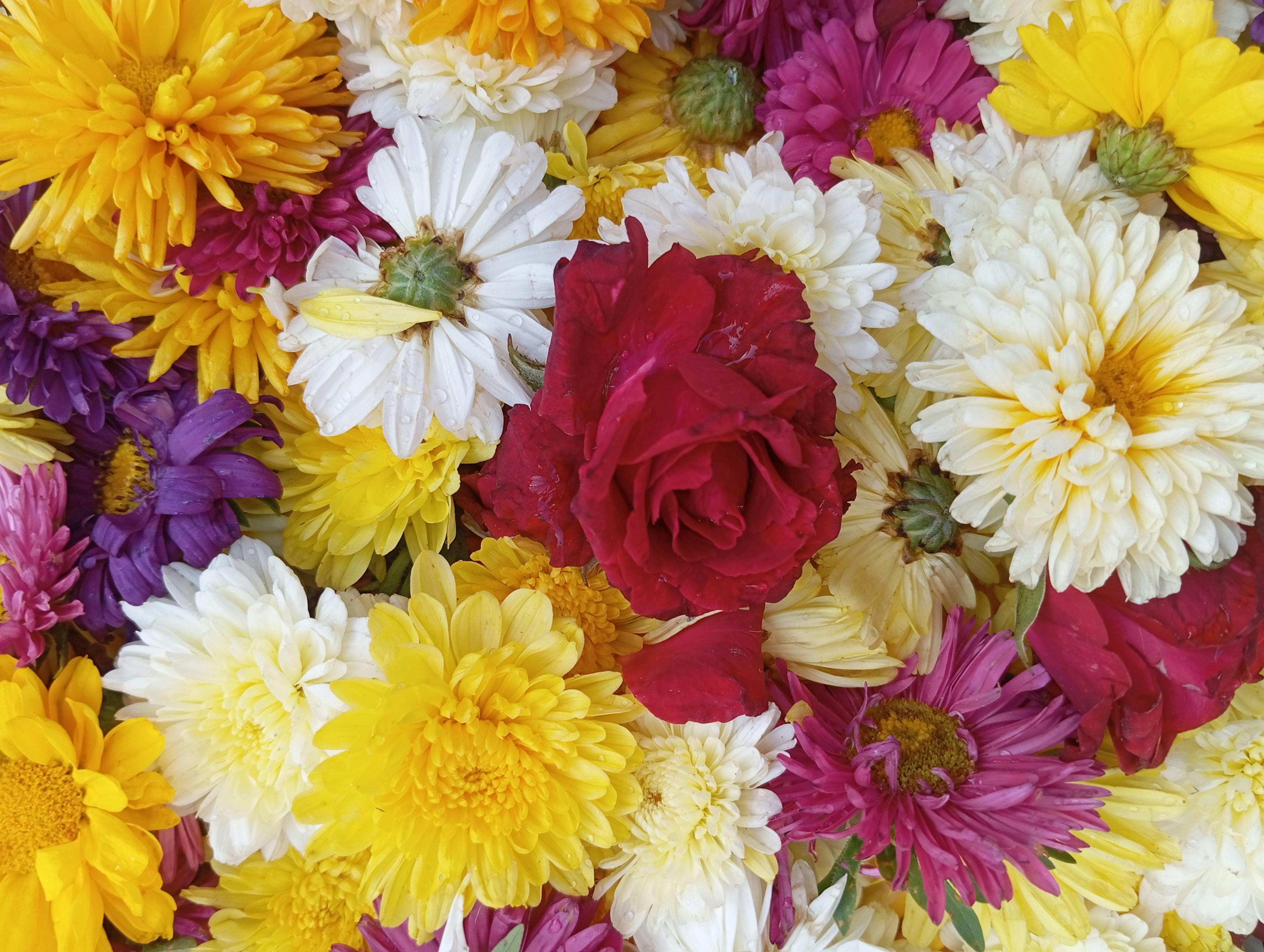 AI革命推動下 美科技巨頭面臨電力供應瓶頸挑戰