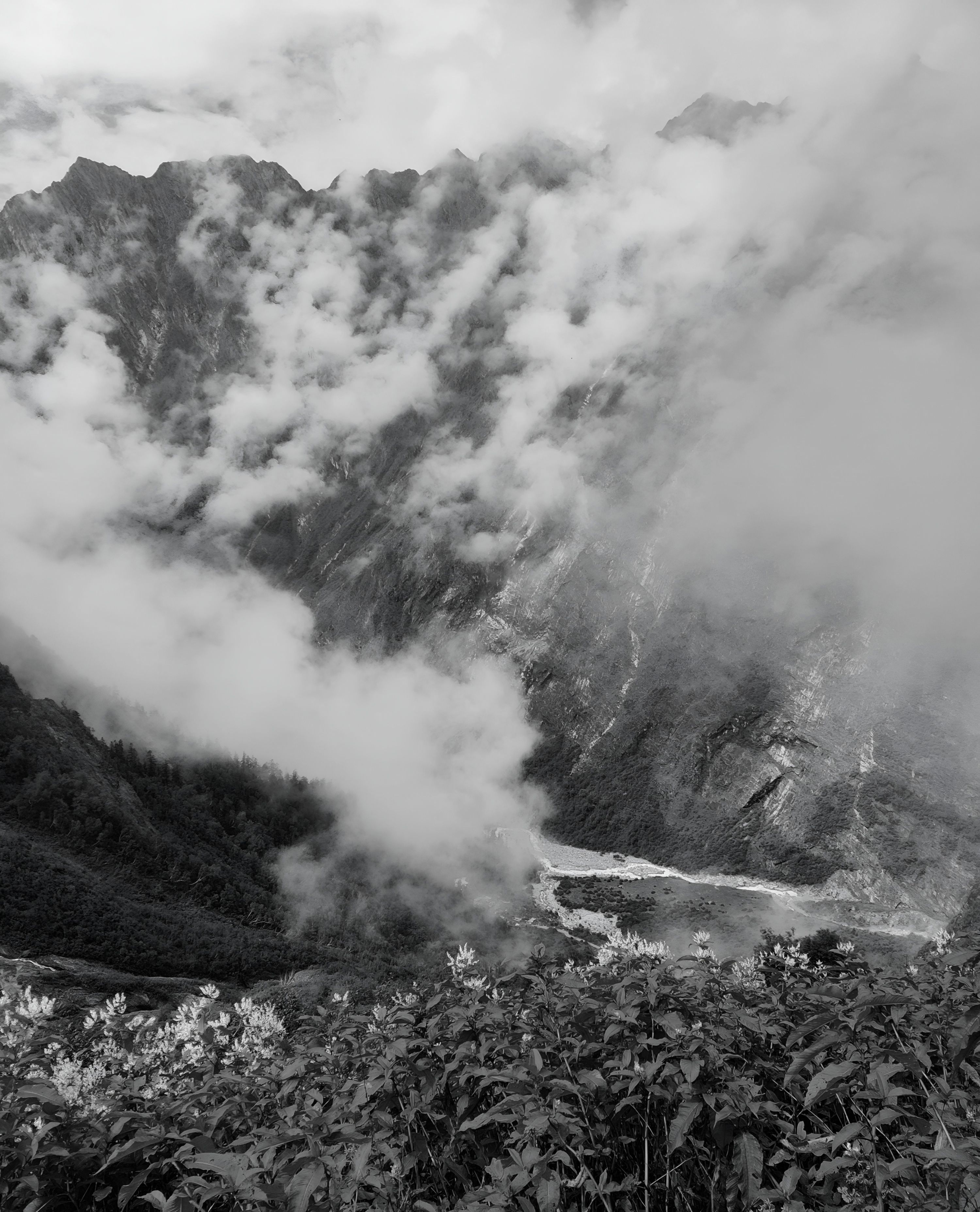 Dramatic Misty Mountain Landscape in Black and White · Free Stock Photo