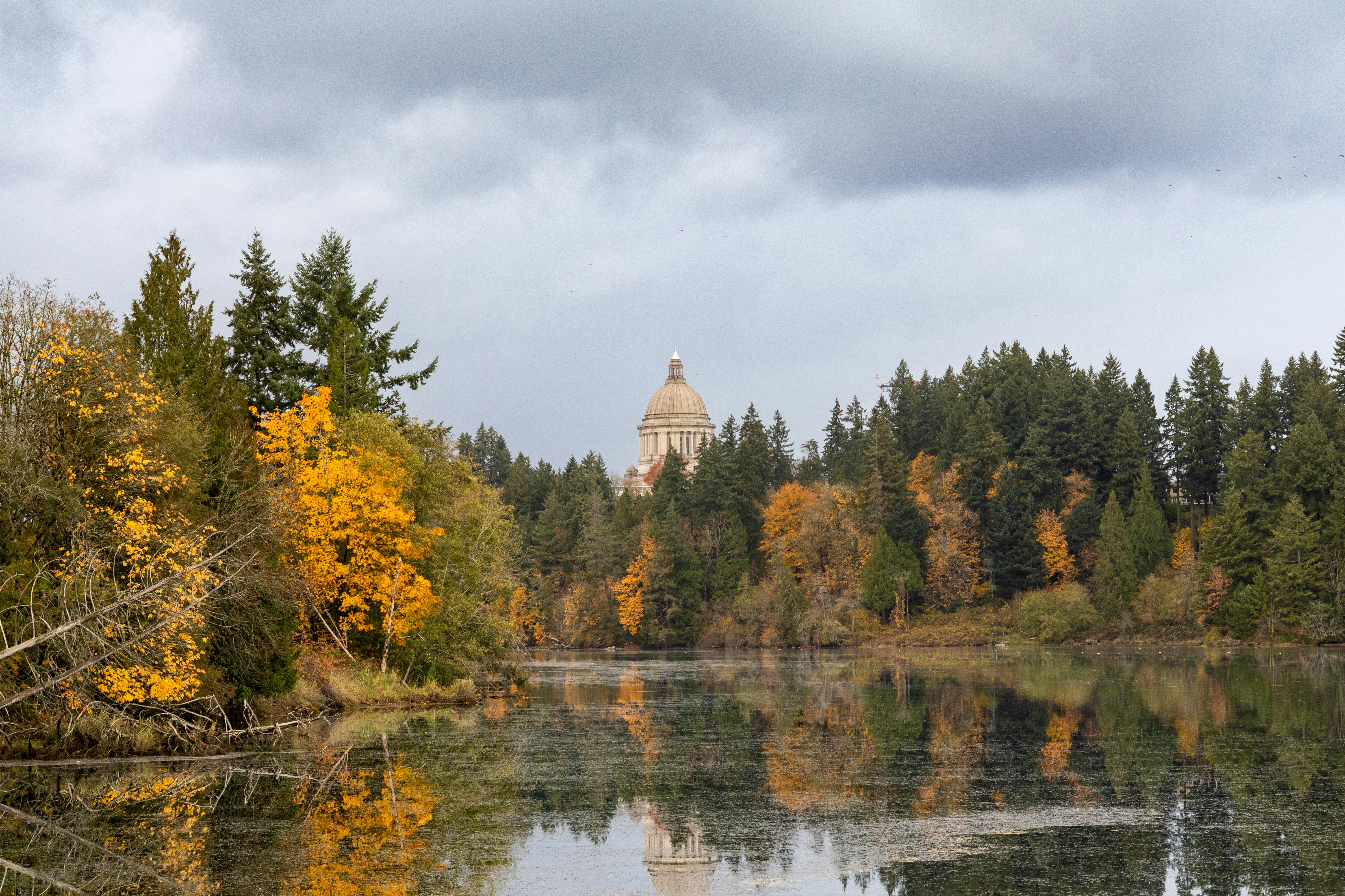 財經：民眾黨團指控違法補助廠商 龔明鑫強調絕無違法情事