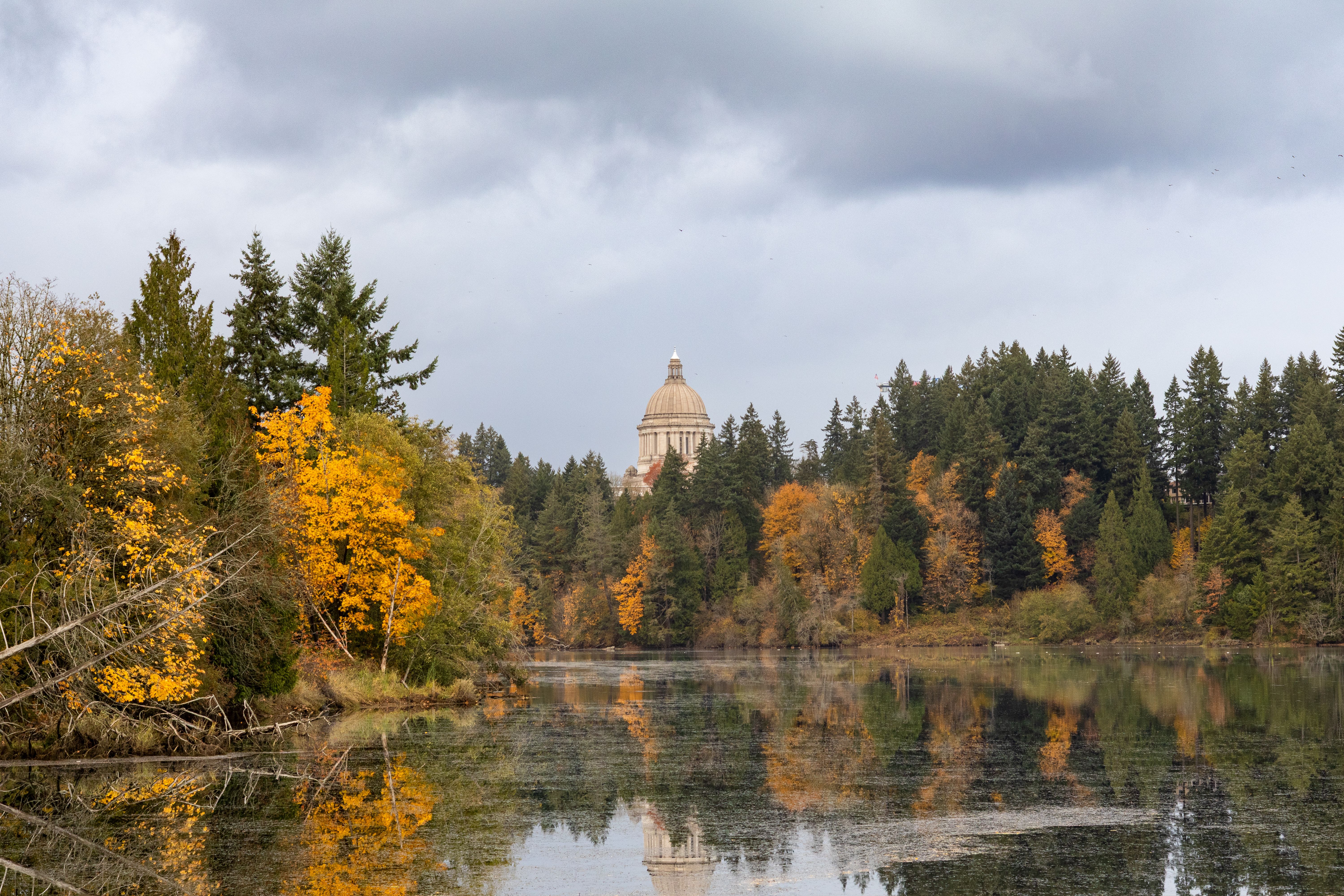 Autumn View of Washington State Capitol Building · Free Stock Photo
