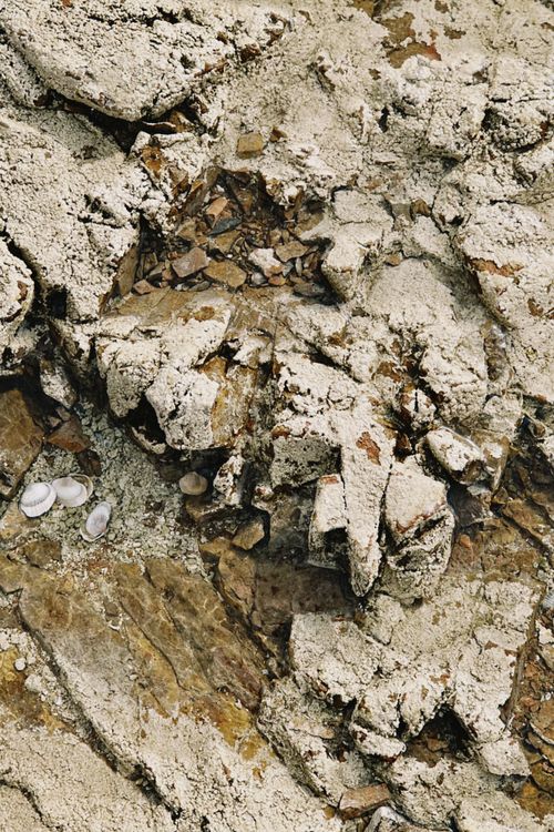 Free Detailed view of rocky terrain with fossilized shells in Konaev, Kazakhstan, showcasing geological formations. Stock Photo
