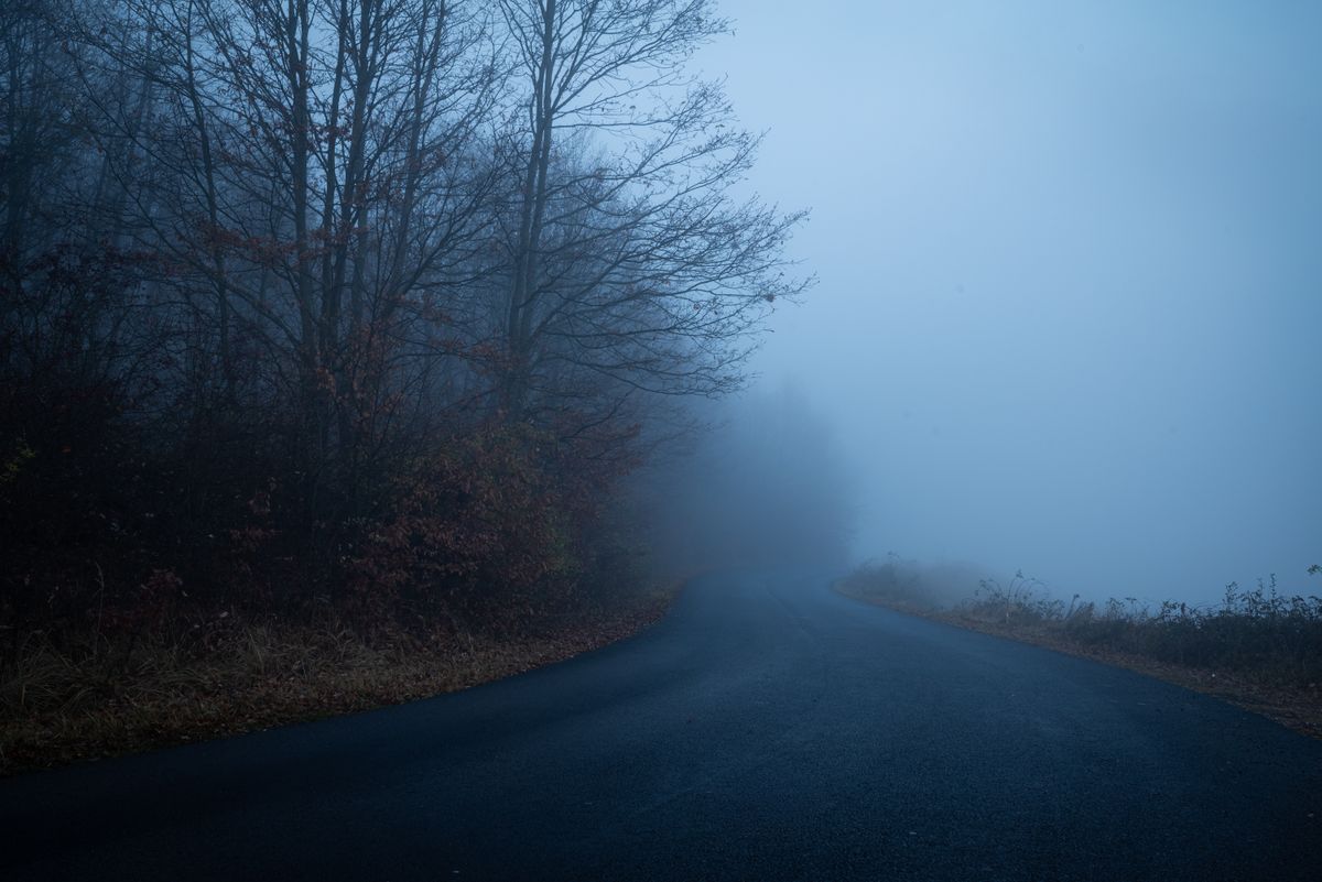 Foggy road bending through a forest at blue hour — photo by Septimiu Lupea on Pexels