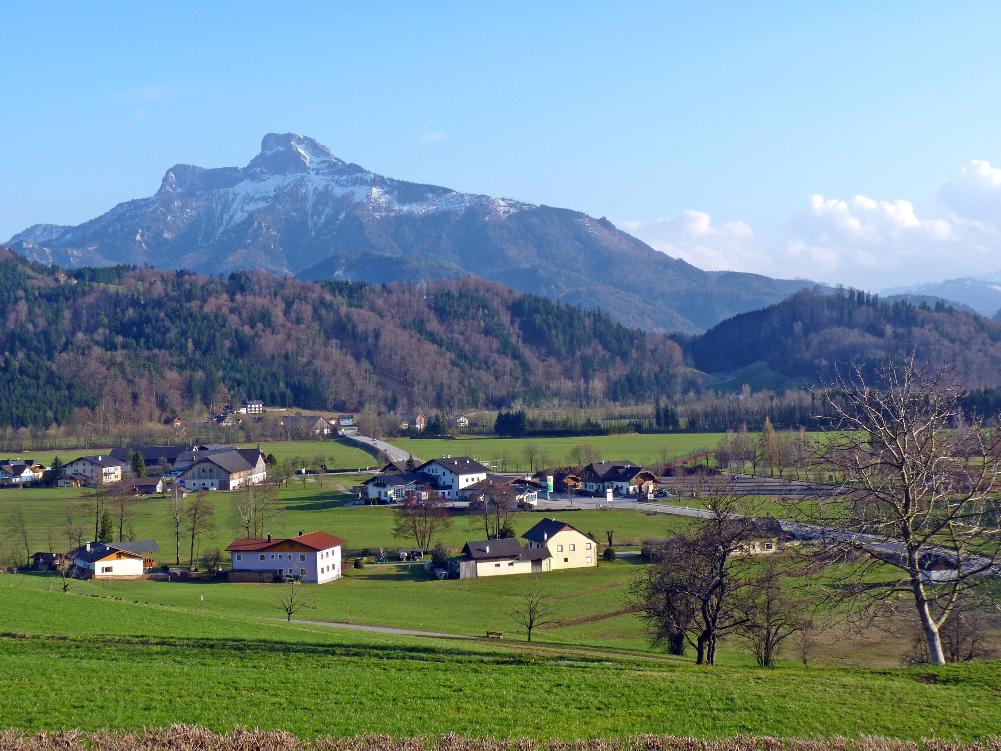Bisamberg