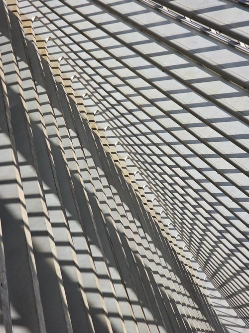 Free Abstract view of geometric lattice structure at Liège-Guillemins Station. Stock Photo