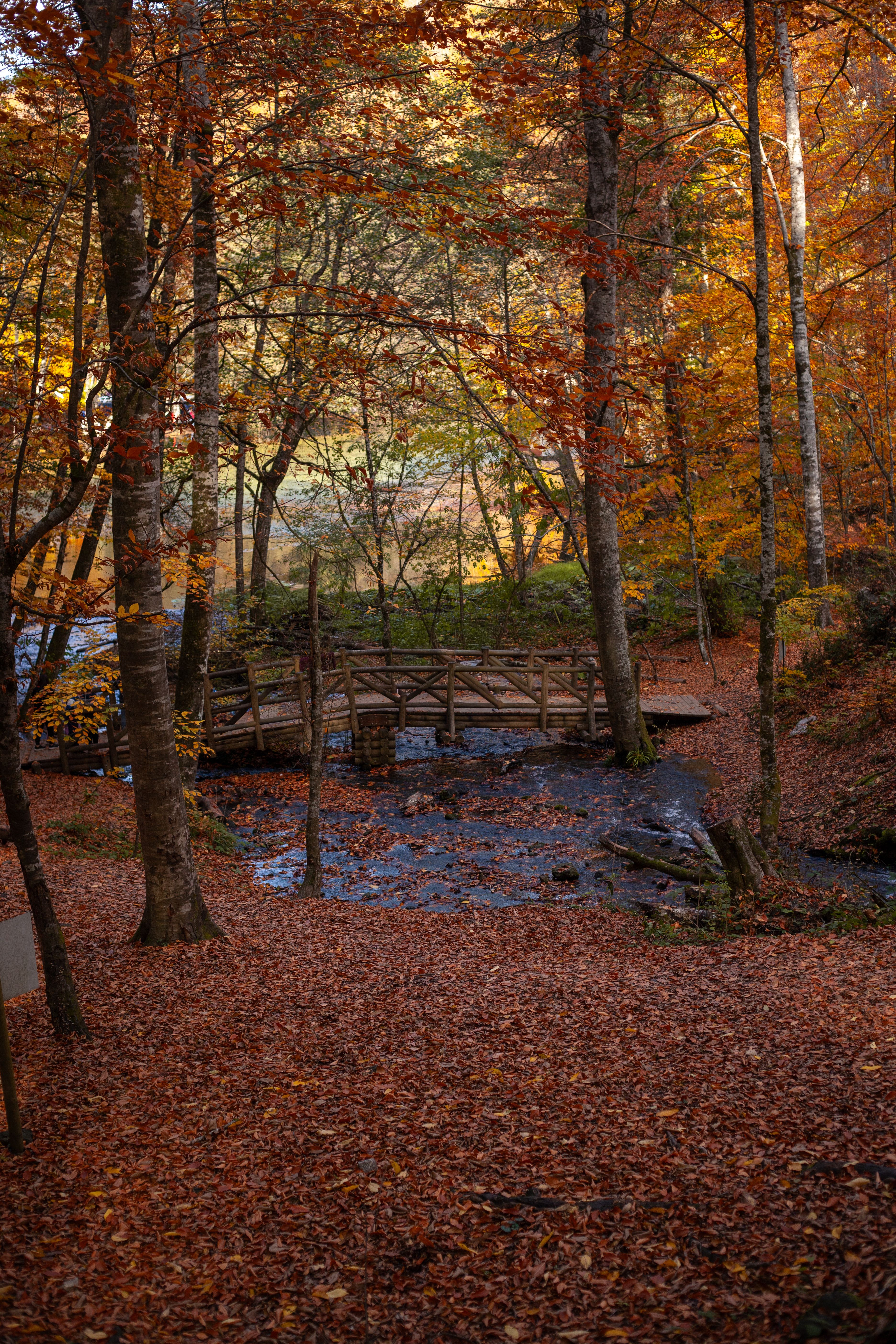 Bridge Fall Photos, Download The BEST Free Bridge Fall Stock Photos ...
