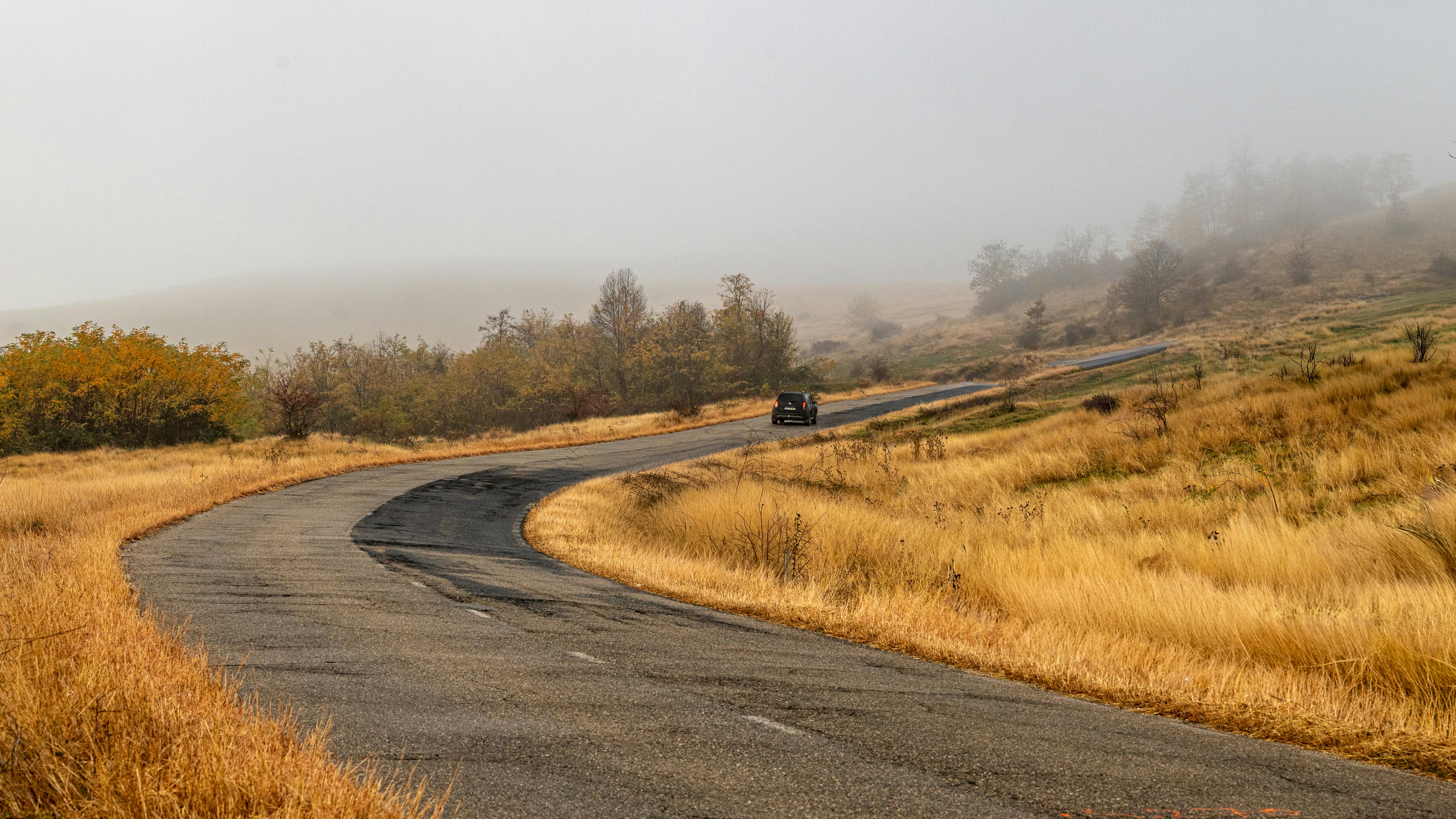 Free stock photo of adventure, autumn, calm