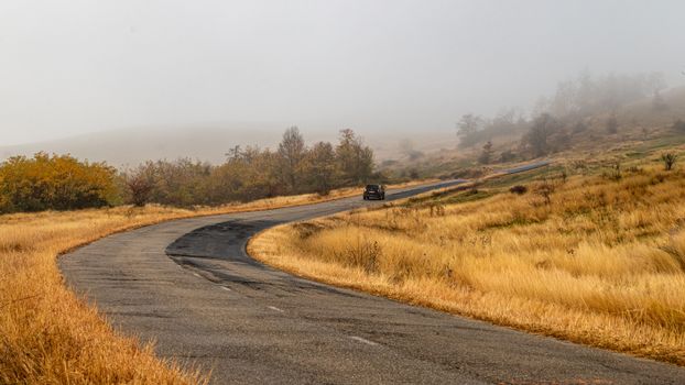 Experience a tranquil autumn drive along a foggy, winding road through the countryside.