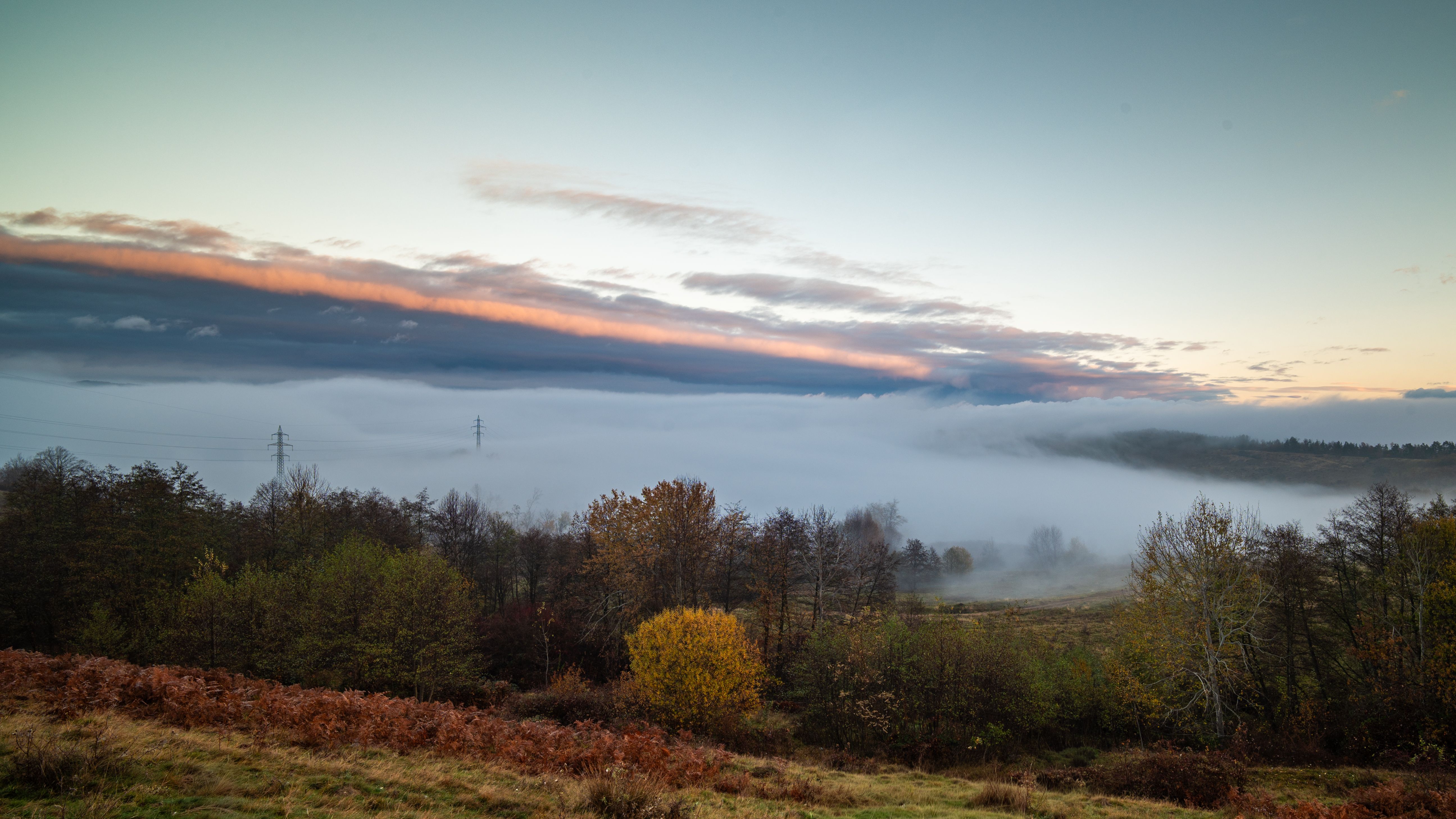 Misty Autumn Morning in Tranquil Forest Valley · Free Stock Photo