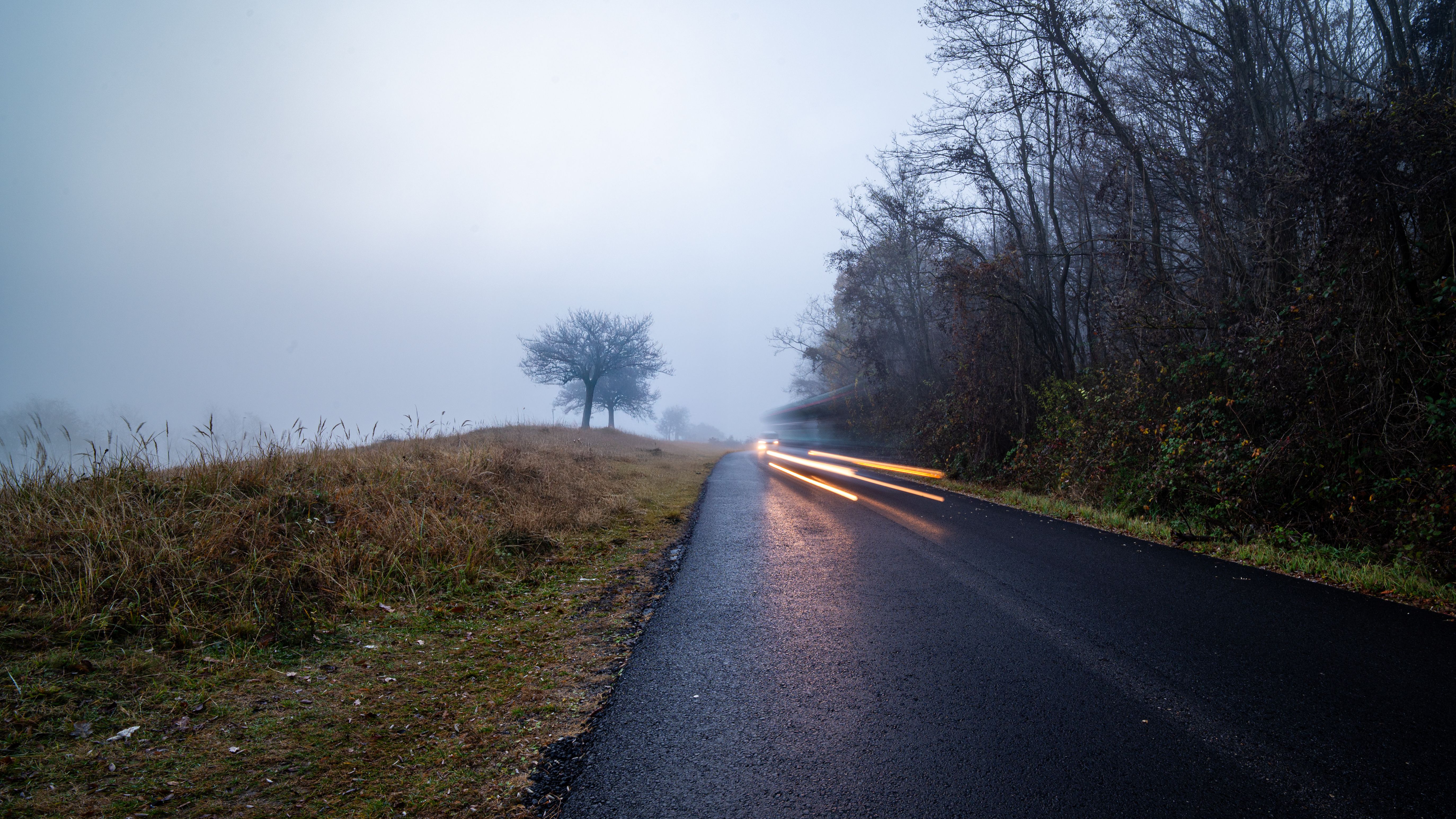 Atmospheric scene of a foggy countryside road with light trails and wet asphalt, evoking mystery.