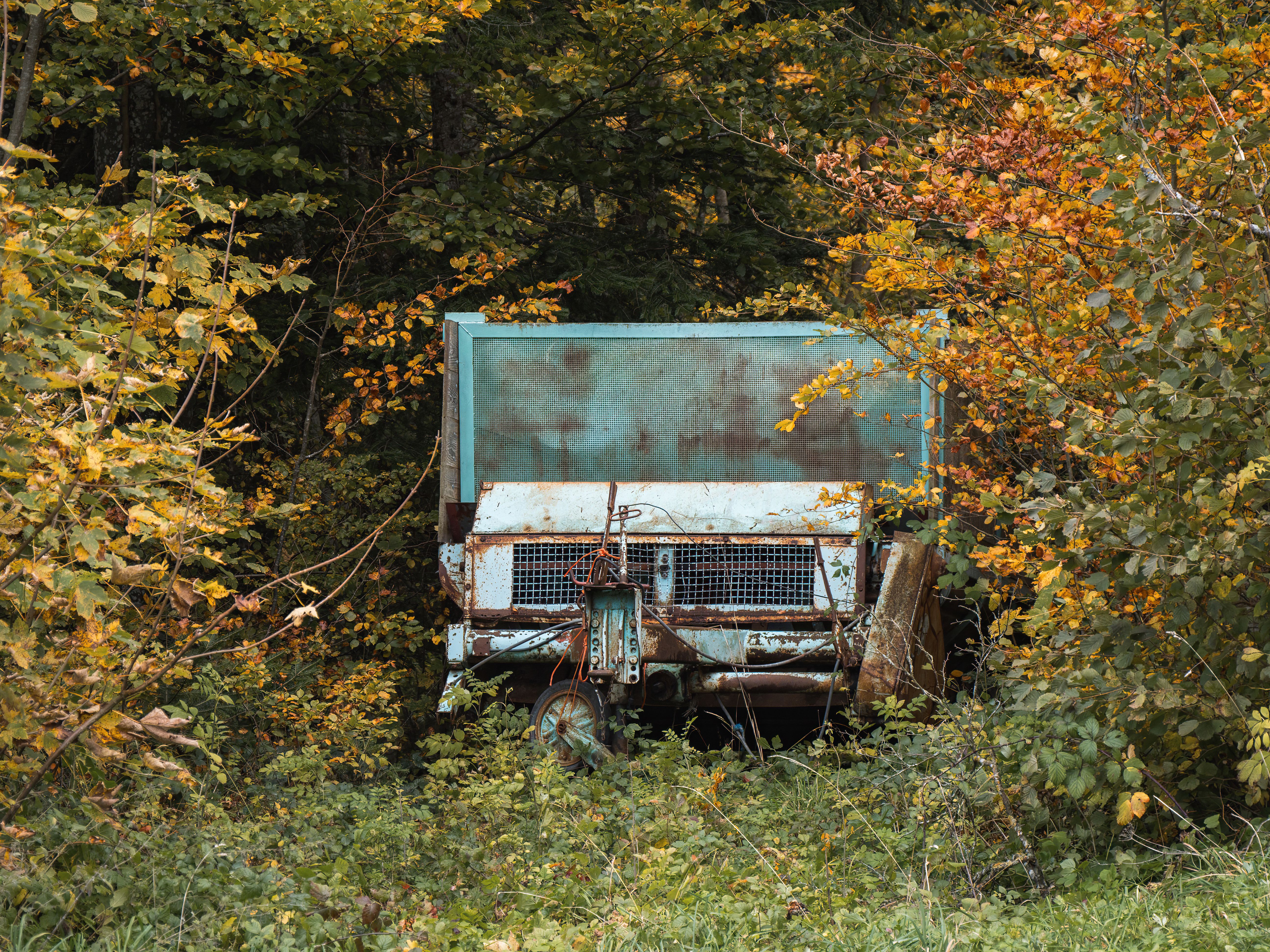 Abandoned Rusty Vehicle in Lush Autumn Forest · Free Stock Photo