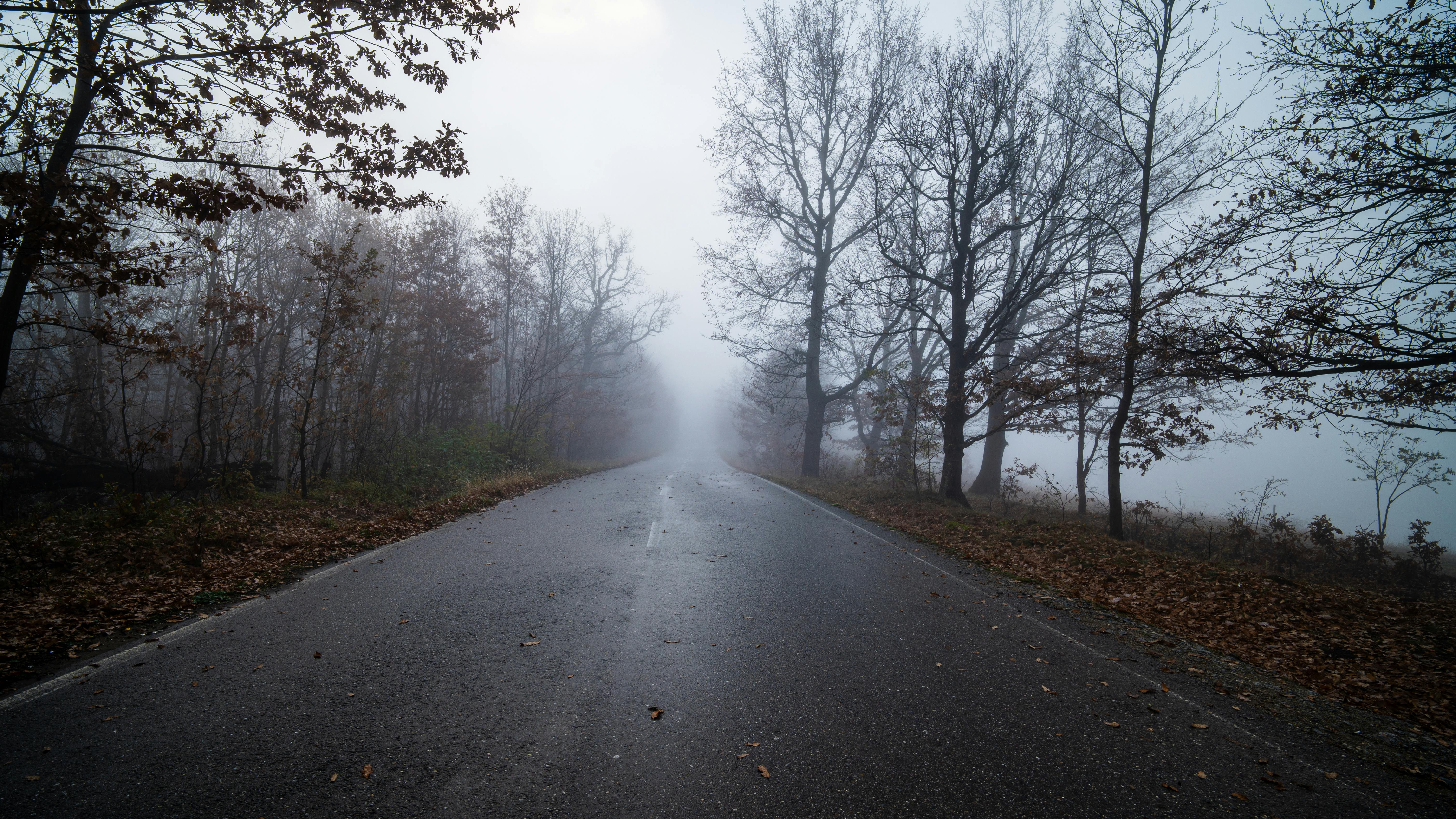 Free stock photo of atmospheric, autumn, cinematic